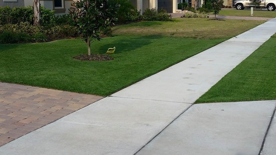 Oviedo Lawn and Landscape Services , Oviedo Sod Installation , Oviedo Irrigation Services , Winter Park Sod Installation Service , Winter Park Lawn and Landscape Services , Winter Park Irrigation Services . Winter Springs Sod Installations , Winter