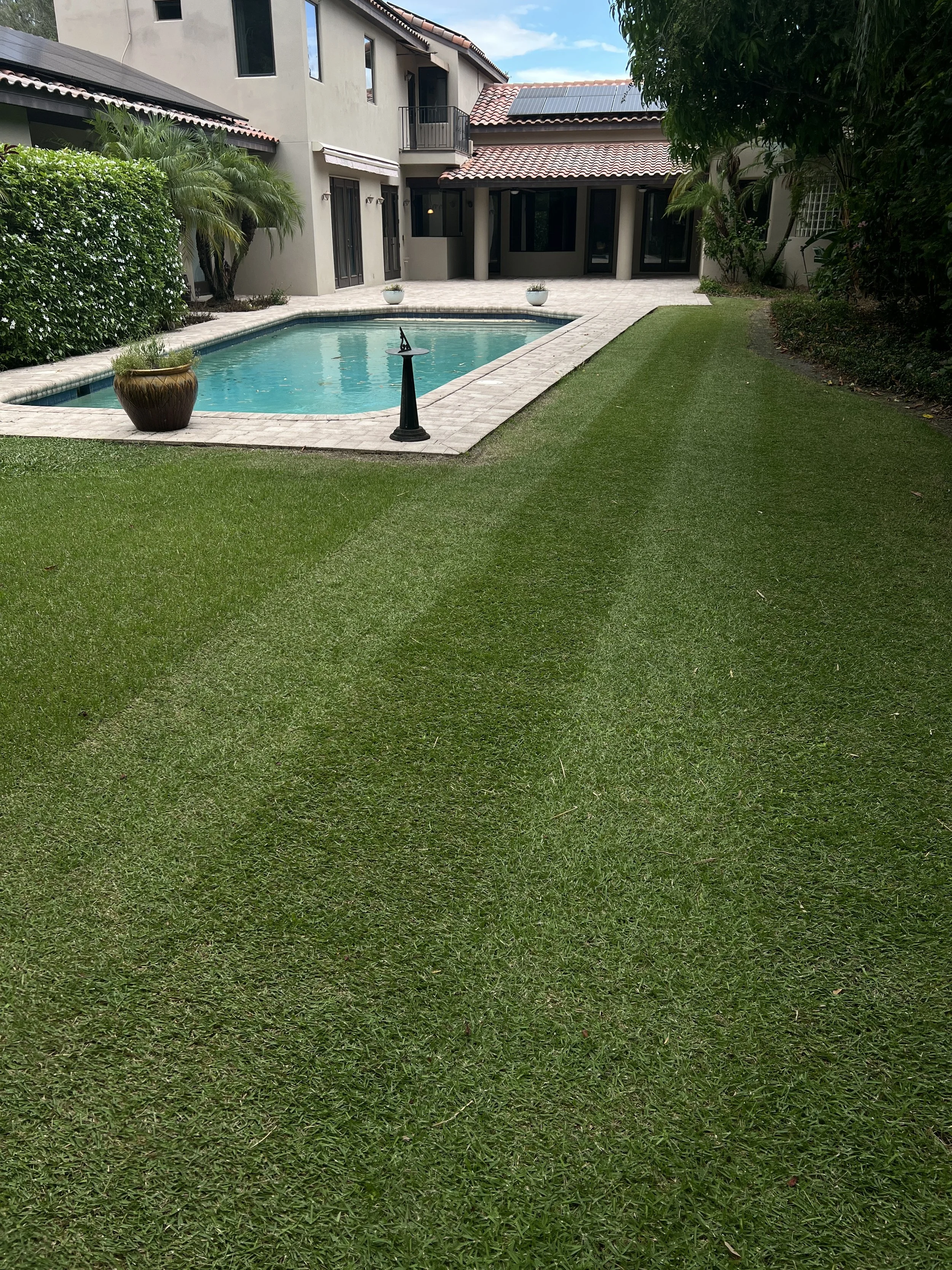 A well-watered lawn near a pool deck in Oviedo, Florida illustrating healthy irrigation coverage