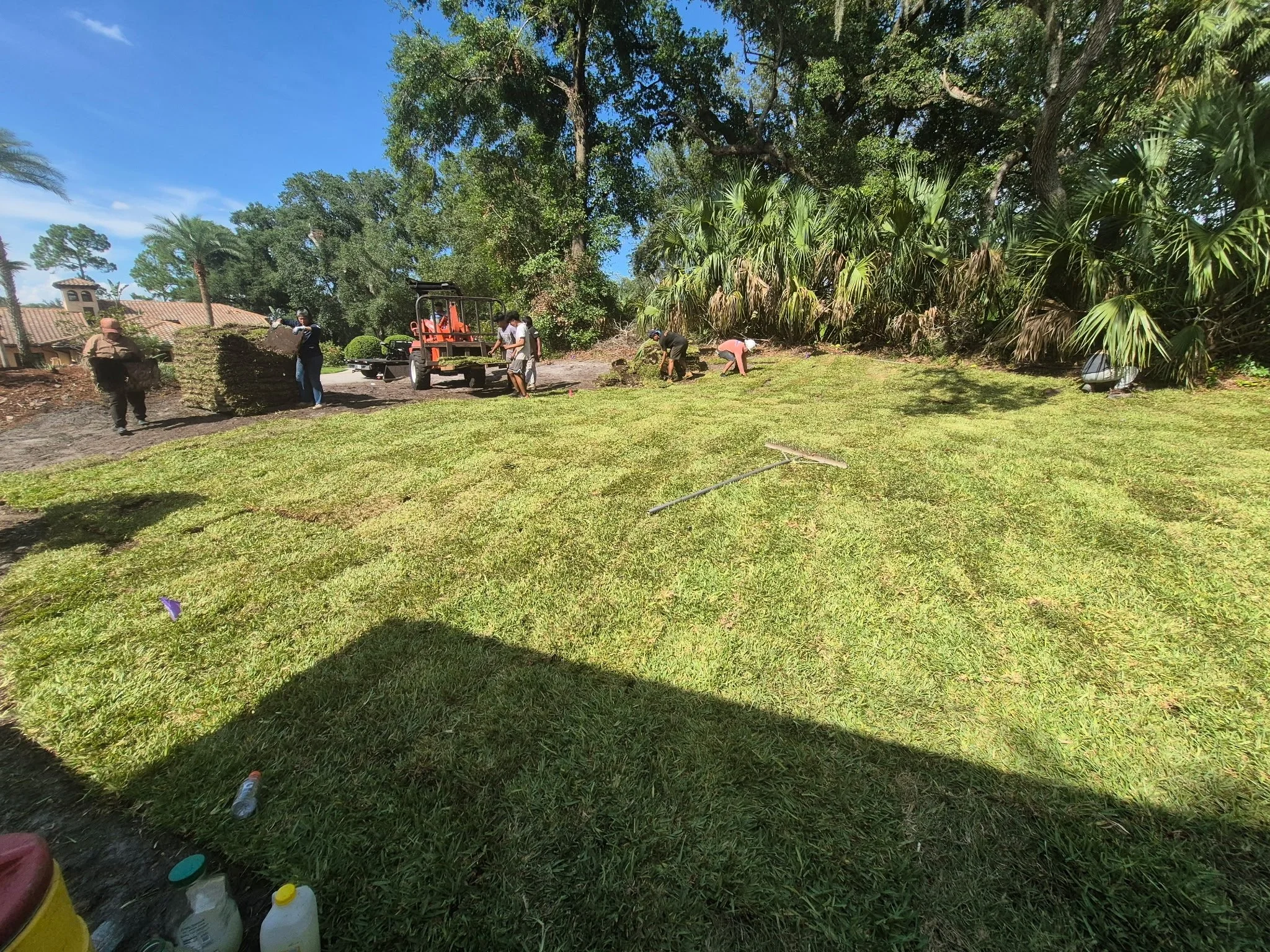 Sod Installation of St. Augustine  Pro Vista Sod In Markham Woods . Sod Installation completed by Michael Geist's Yard Works who is based out of Oviedo Florida but services Oviedo , Winter Park,  Lake Nona , Winter Springs and Lake Mary /Heathrow /Ma