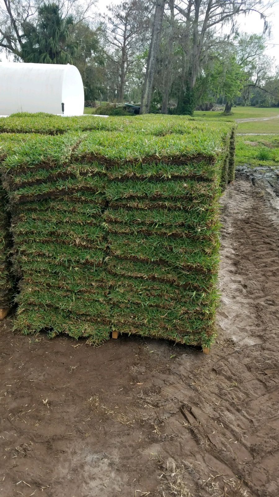 Oviedo Lawn and Landscape Services , Oviedo Sod Installation , Oviedo Irrigation Services , Winter Park Sod Installation Service , Winter Park Lawn and Landscape Services , Winter Park Irrigation Services . Winter Springs Sod Installations , Winter