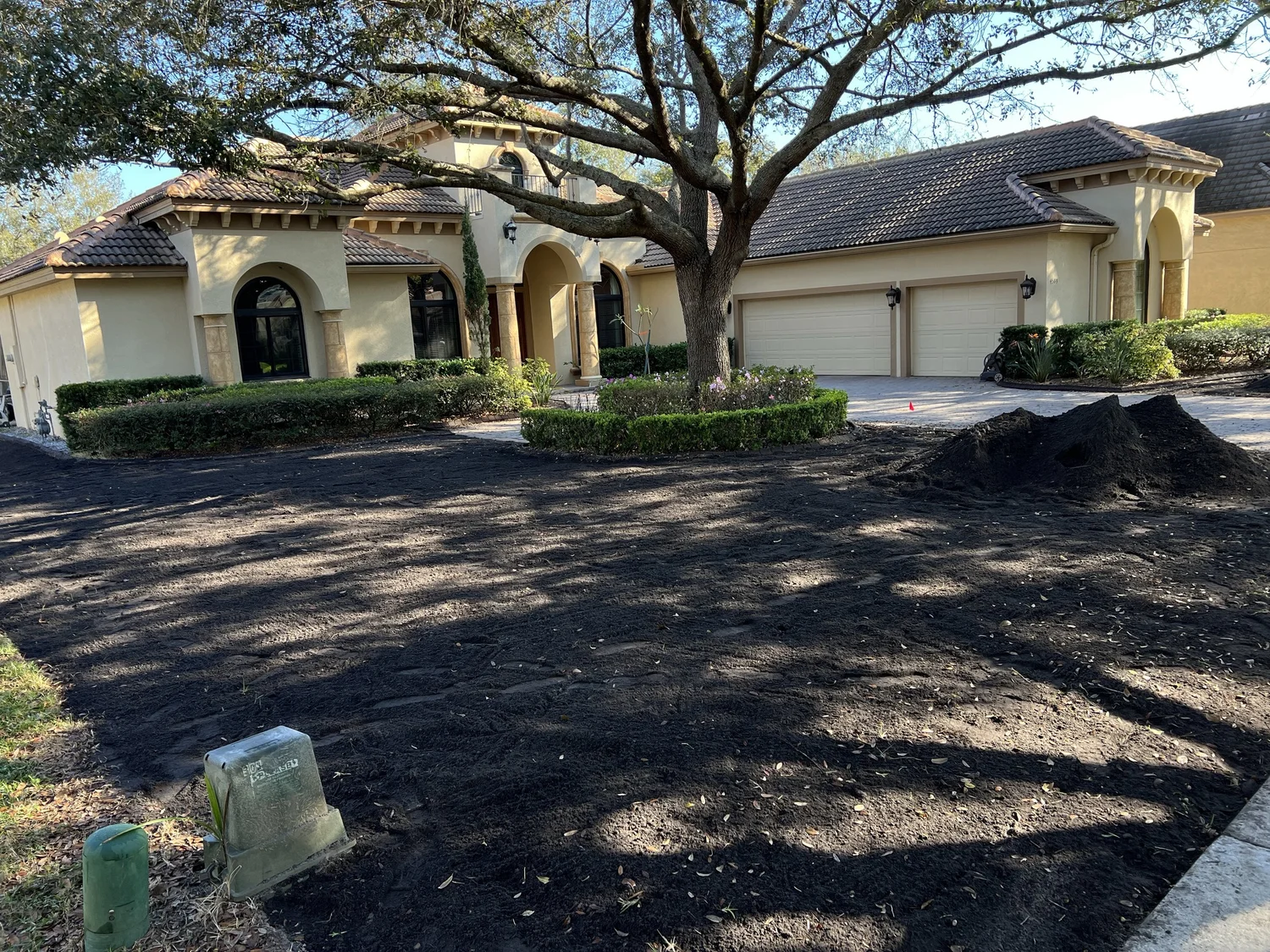 Floratam St. Augustine sod Winter Park Florida
