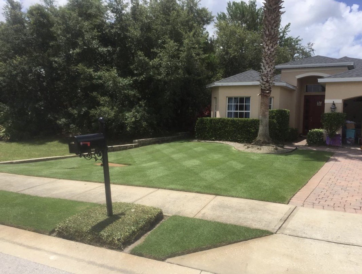 Oviedo Lawn and Landscape Services , Oviedo Sod Installation , Oviedo Irrigation Services , Winter Park Sod Installation Service , Winter Park Lawn and Landscape Services , Winter Park Irrigation Services . Winter Springs Sod Installations , Winter