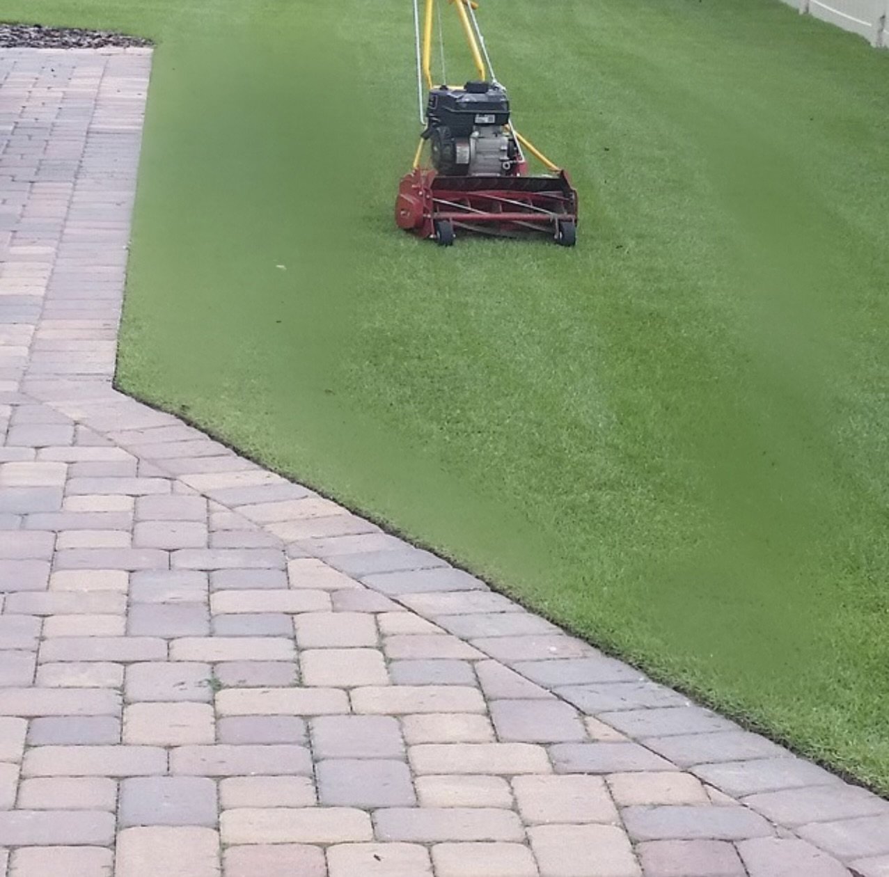 Oviedo Lawn and Landscape Services , Oviedo Sod Installation , Oviedo Irrigation Services , Winter Park Sod Installation Service , Winter Park Lawn and Landscape Services , Winter Park Irrigation Services . Winter Springs Sod Installations , Winter