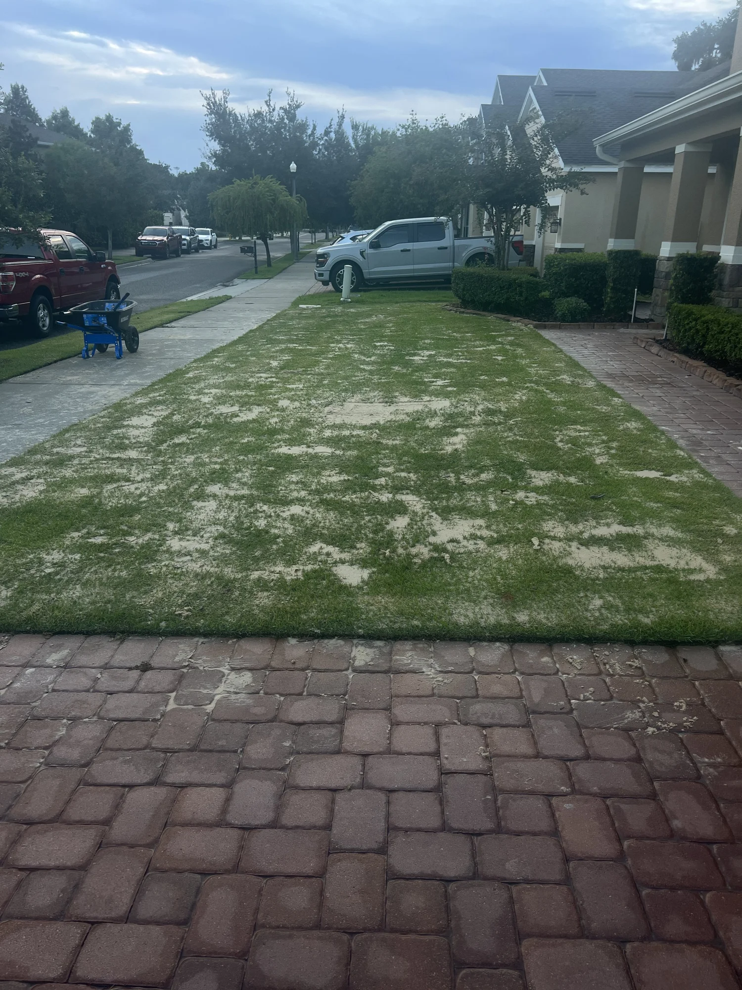 Screened compost blend being loaded for top dressing application on a Winter Park FL lawn — sand and compost mix improves sandy Entisol soils