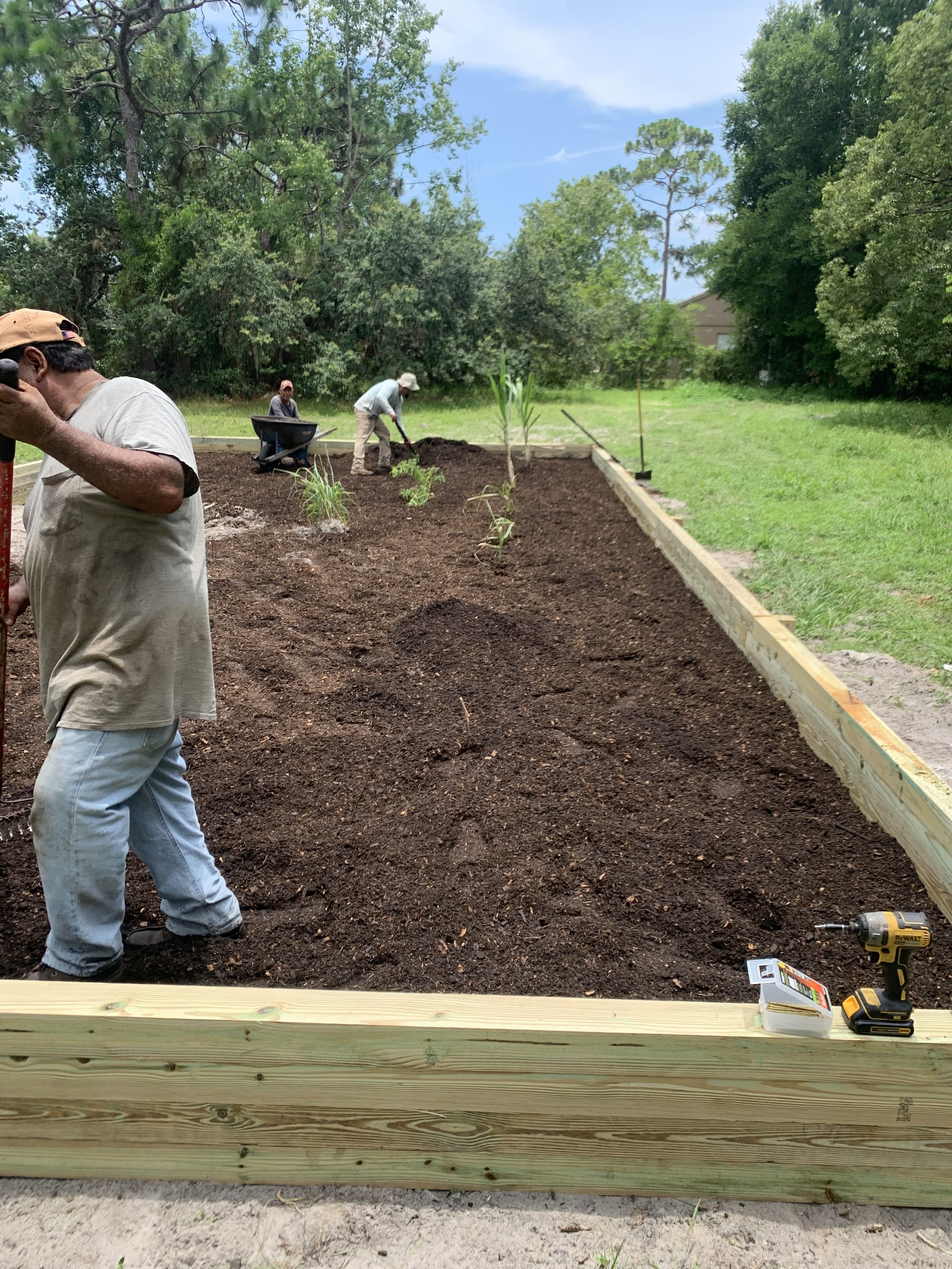 Oviedo Lawn and Landscape Services , Oviedo Sod Installation , Oviedo Irrigation Services , Winter Park Sod Installation Service , Winter Park Lawn and Landscape Services , Winter Park Irrigation Services . Winter Springs Sod Installations , Winter