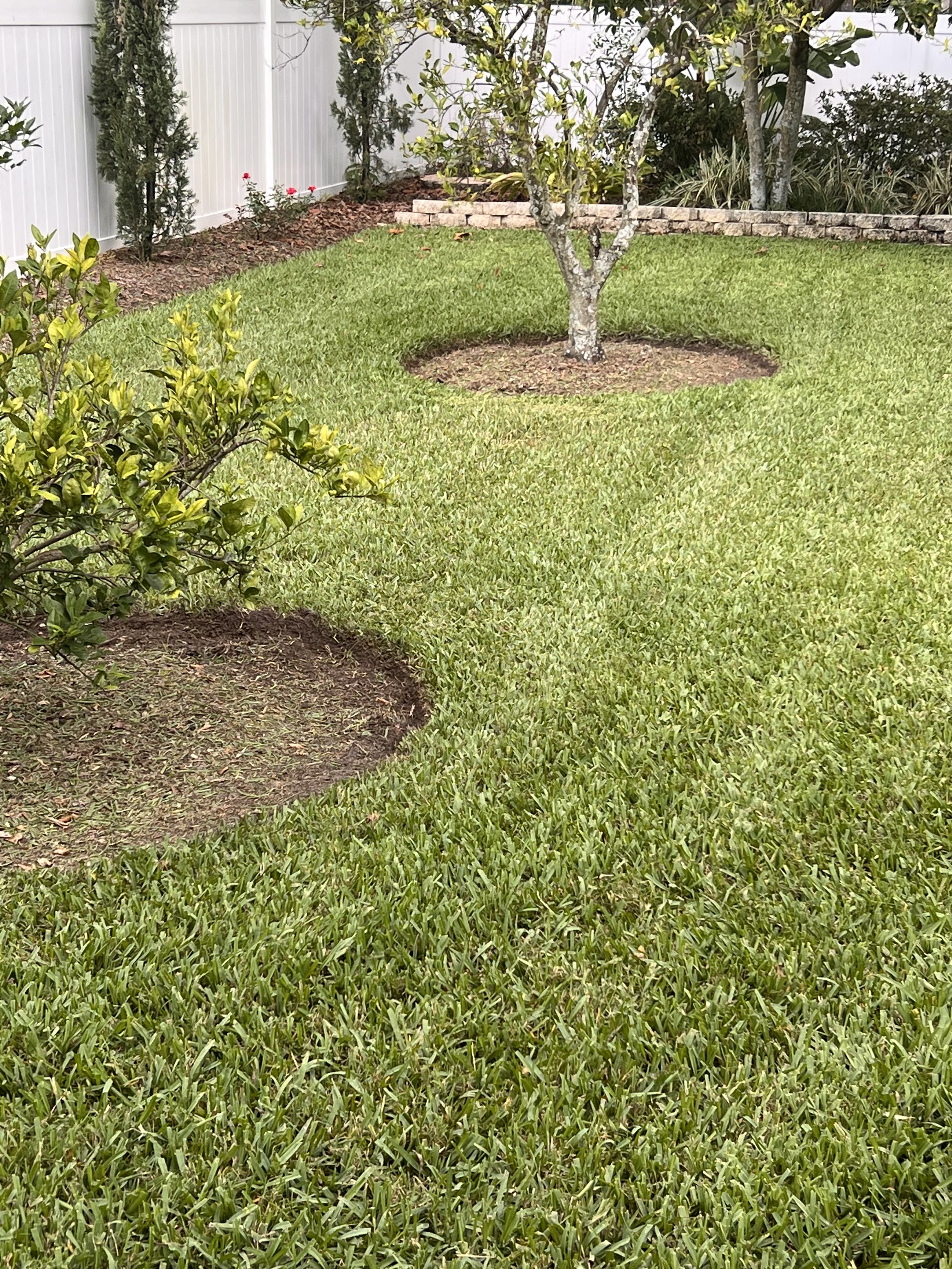 Oviedo Lawn and Landscape Services , Oviedo Sod Installation , Oviedo Irrigation Services , Winter Park Sod Installation Service , Winter Park Lawn and Landscape Services , Winter Park Irrigation Services . Winter Springs Sod Installations , Winter