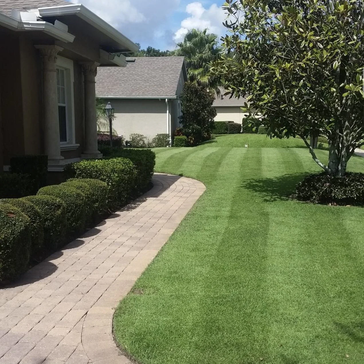 Winter Park Zoysia Sod Expert | Michael Geist's Yard Works