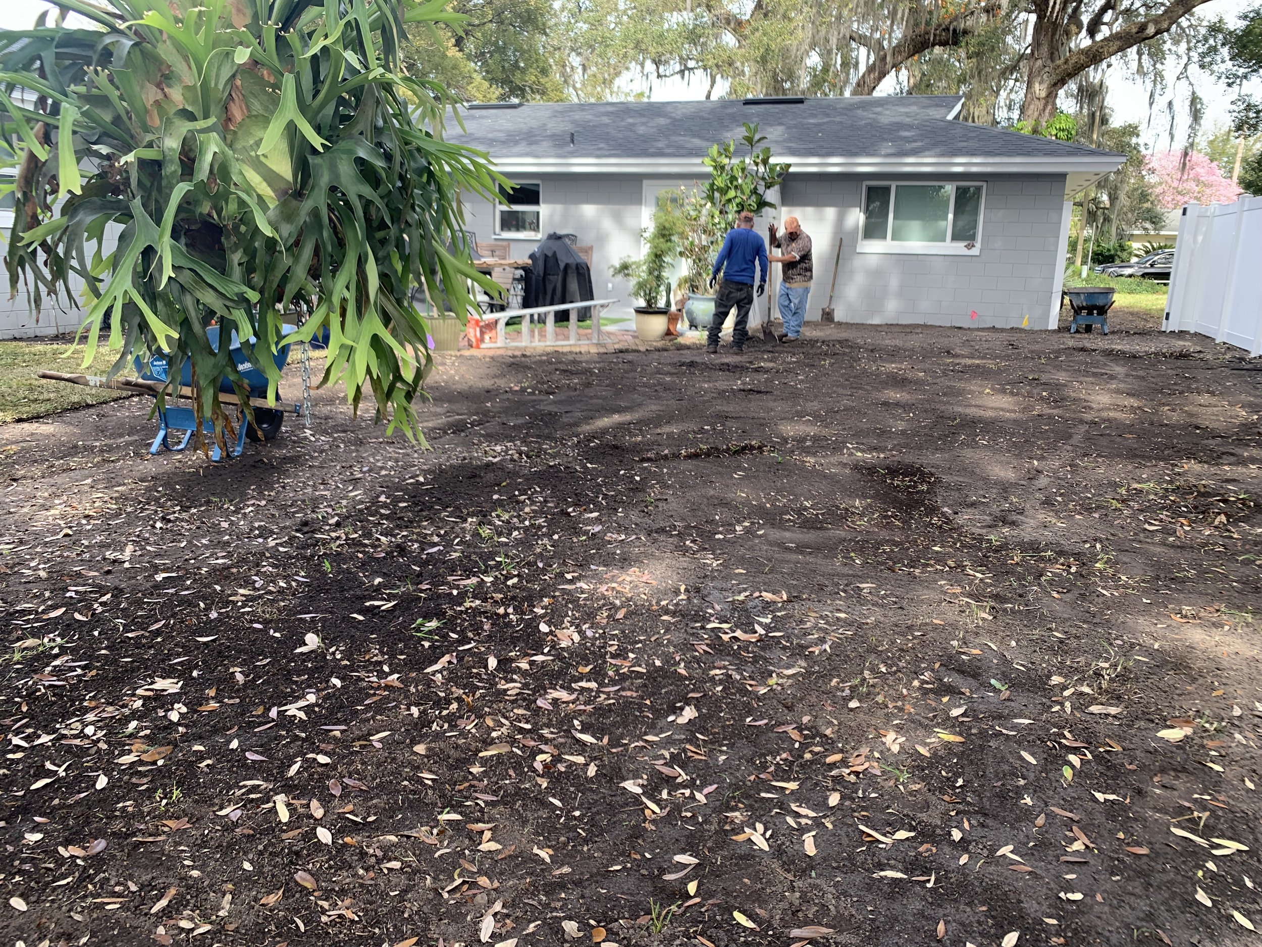 Oviedo Lawn and Landscape Services , Oviedo Sod Installation , Oviedo Irrigation Services , Winter Park Sod Installation Service , Winter Park Lawn and Landscape Services , Winter Park Irrigation Services . Winter Springs Sod Installations , Winter
