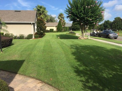 Oviedo Lawn and Landscape Services , Oviedo Sod Installation , Oviedo Irrigation Services , Winter Park Sod Installation Service , Winter Park Lawn and Landscape Services , Winter Park Irrigation Services . Winter Springs Sod Installations , Winter