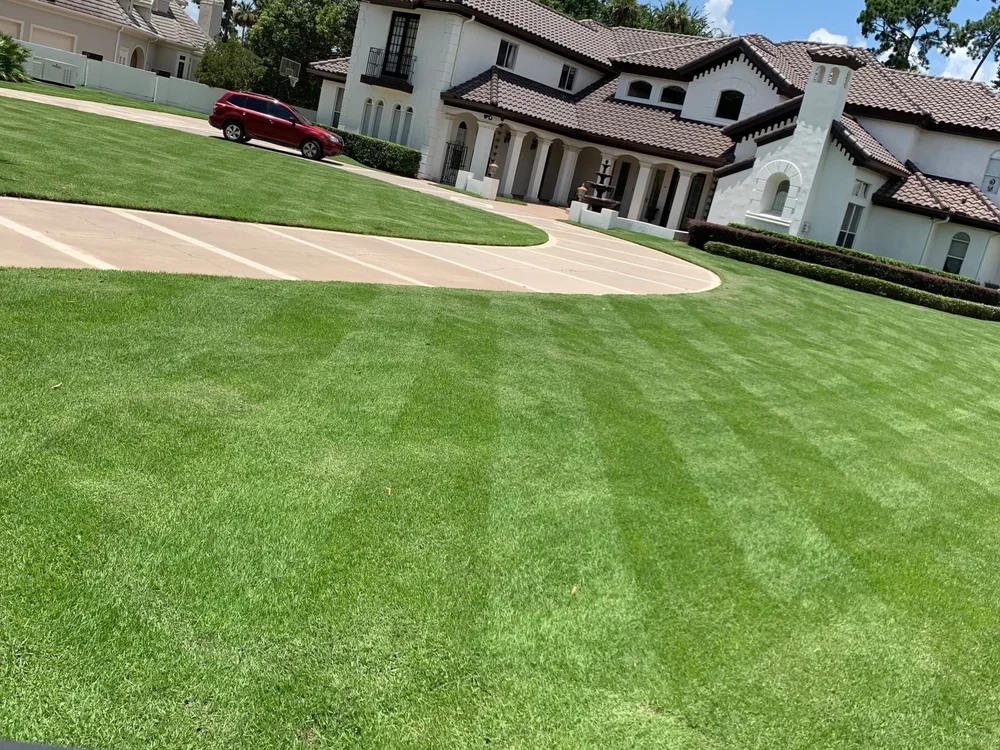 Zoysia lawn with reel-mowed fairway stripes in Central Florida near Lake Nona