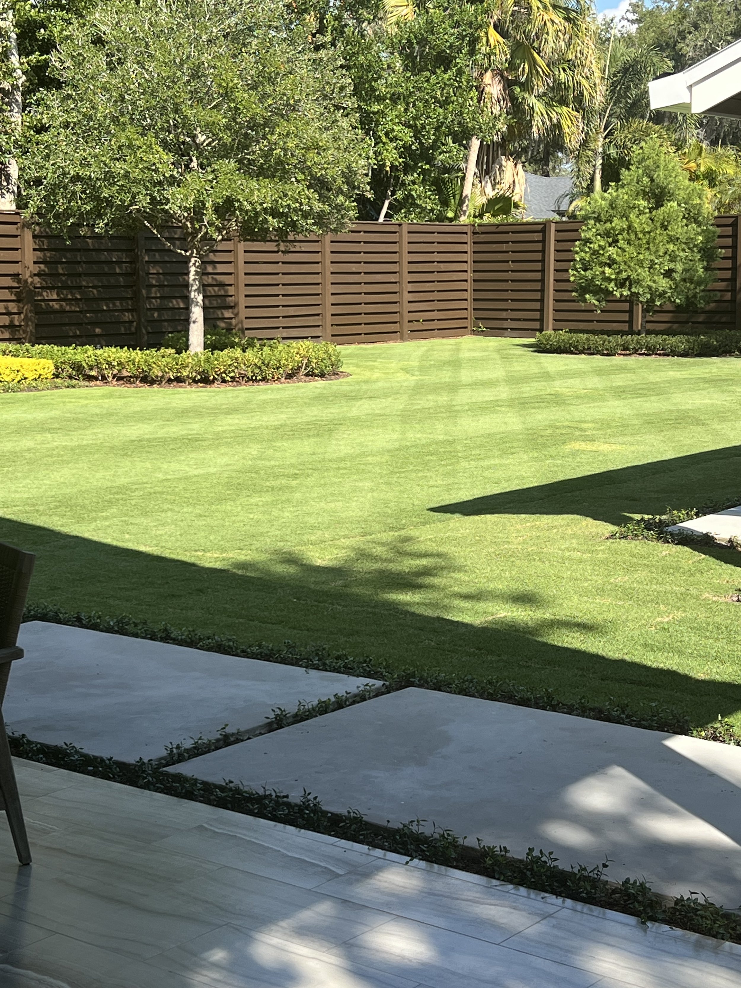 CitraZoy Zoysia sod retaining color.  Picture of Citrazoy  Zoysia SOD from december of 2025 . Beautiful Zoysia Sod - Zone b  - Winter Park / Maitland Florida .   Michael Geist's Yard Works 