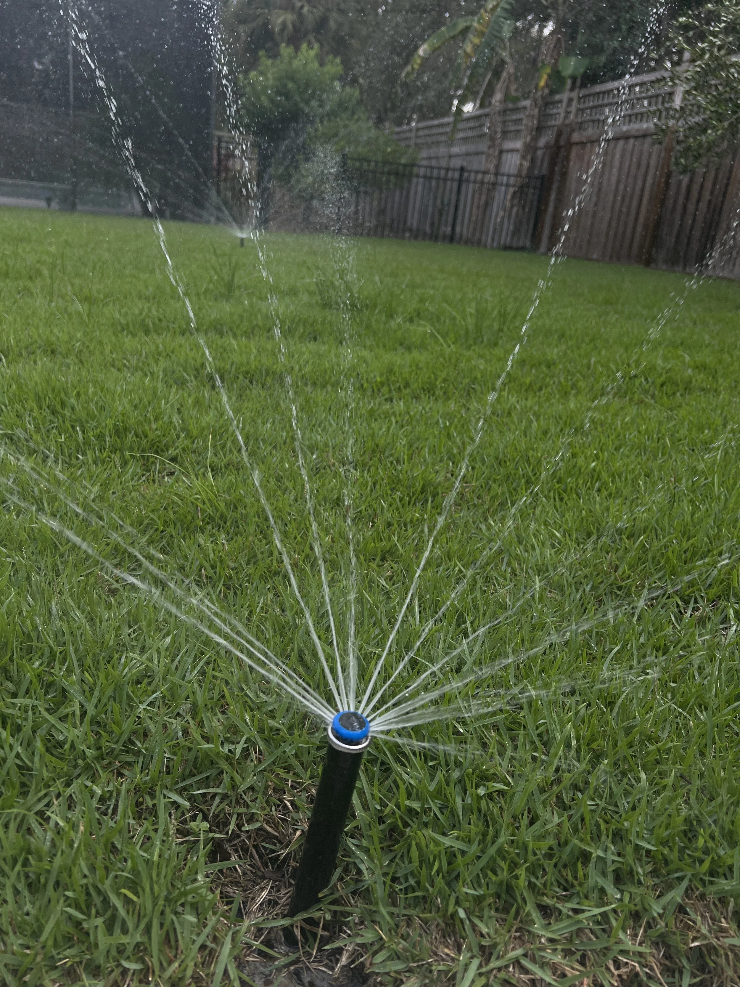 Winter Park 32789 Irrigation Hunter MPR | Michael Geist's Yard Works
