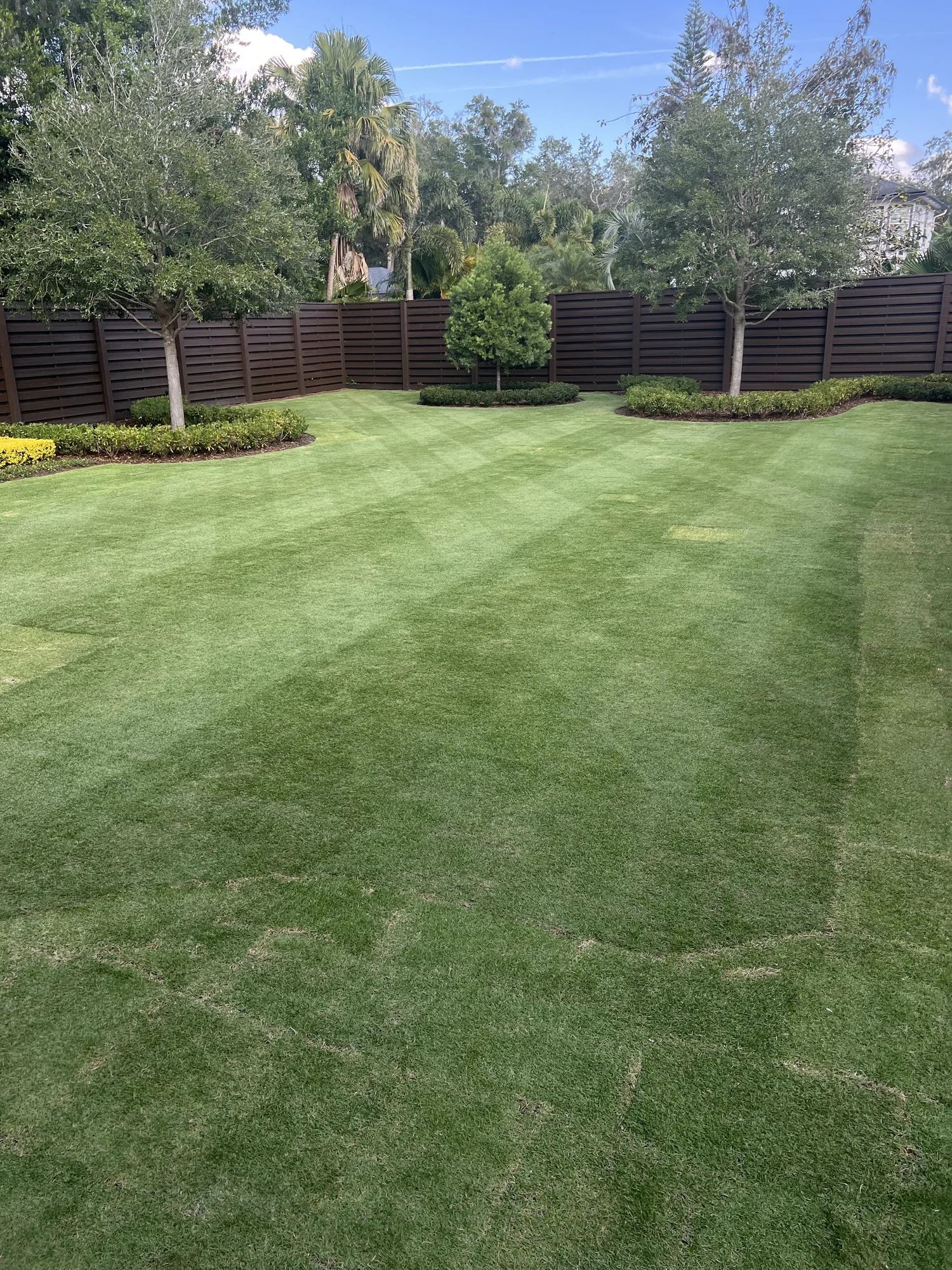 CitraZoy Zoysia sod installation on a Winter Park 32789 estate by Michael Geist's Yard Works
