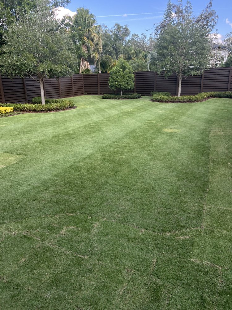 CitraZoy Zoysia lawn under weekly lawn care in Winter Park Florida 32789