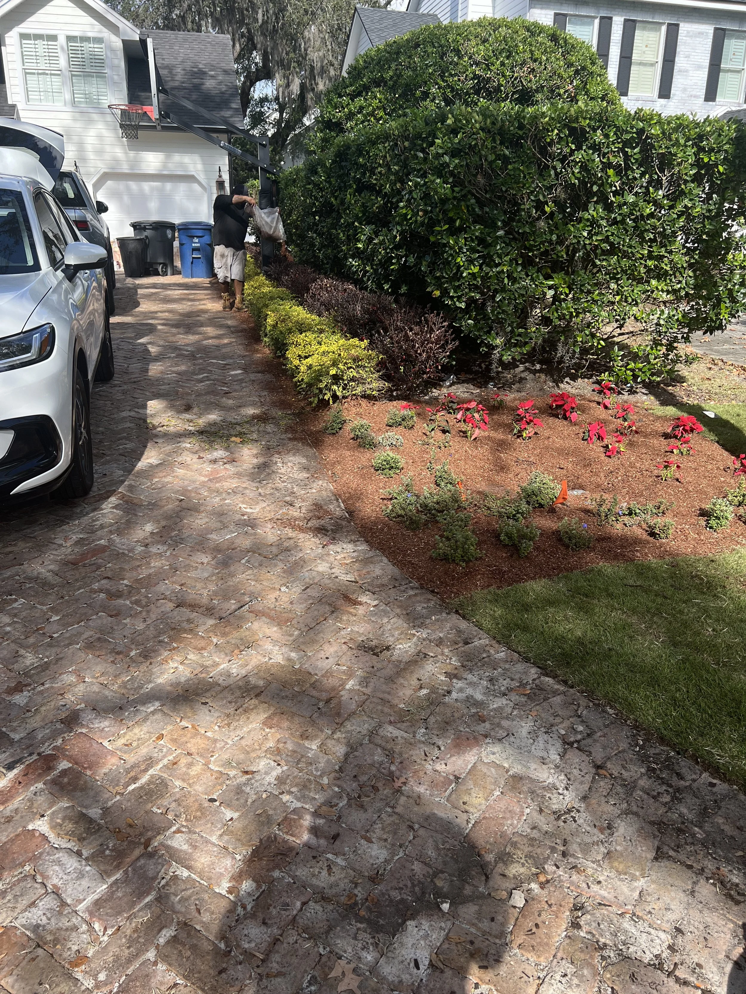 WInter Park Landscape Installation and renovation at 1411 Place Picardy including CitraZoy Zoysia Sod Installation which is watered by a irrigation make over that includes conversion over to Hunter MPR's .   RockBed Landscape Make over . All work com