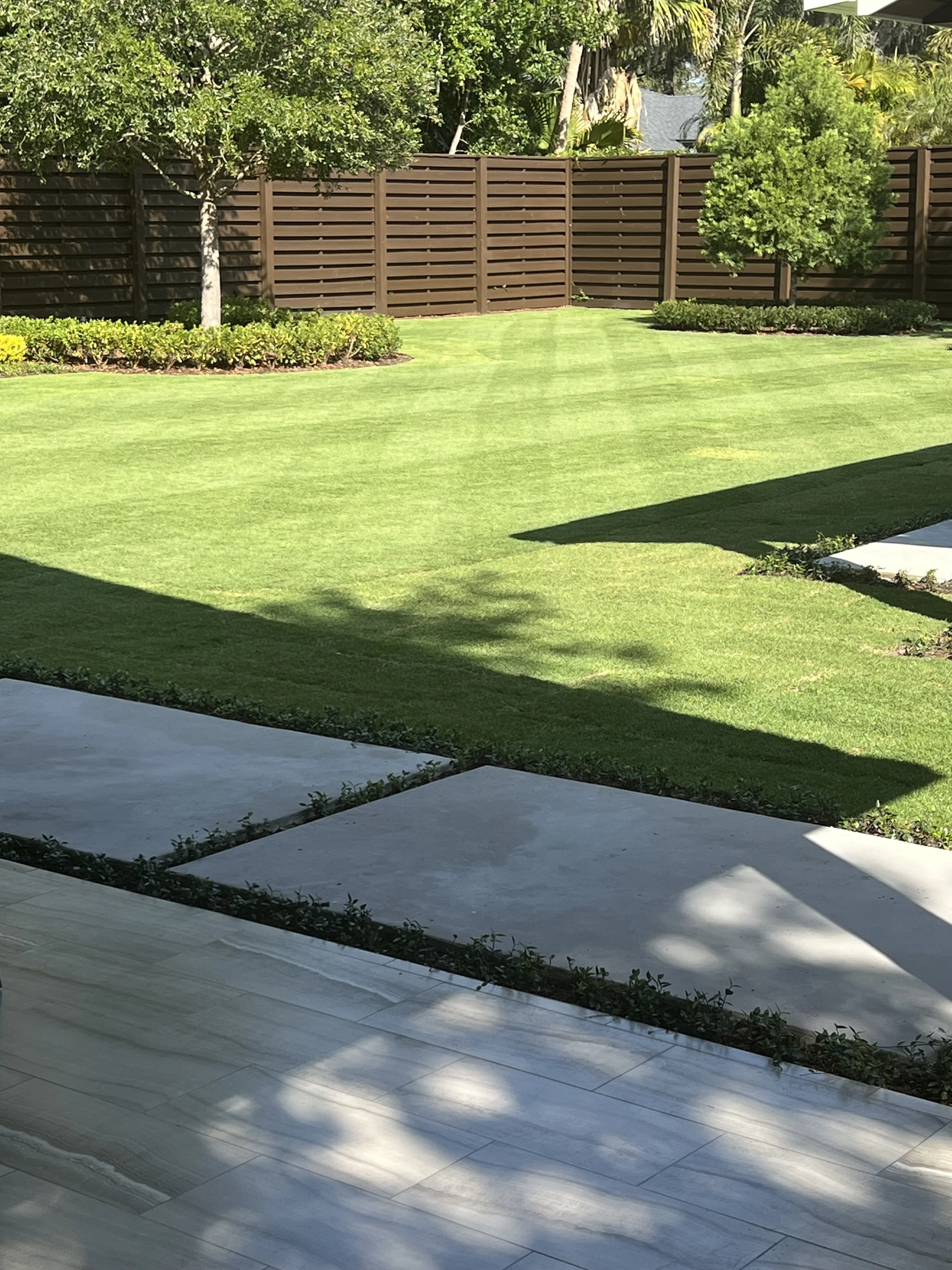 CitraZoy Zoysia sod retaining color.  Picture of Citrazoy  Zoysia SOD from december of 2025 . Beautiful Zoysia Sod - Zone b  - Winter Park / Maitland Florida .   Michael Geist's Yard Works 