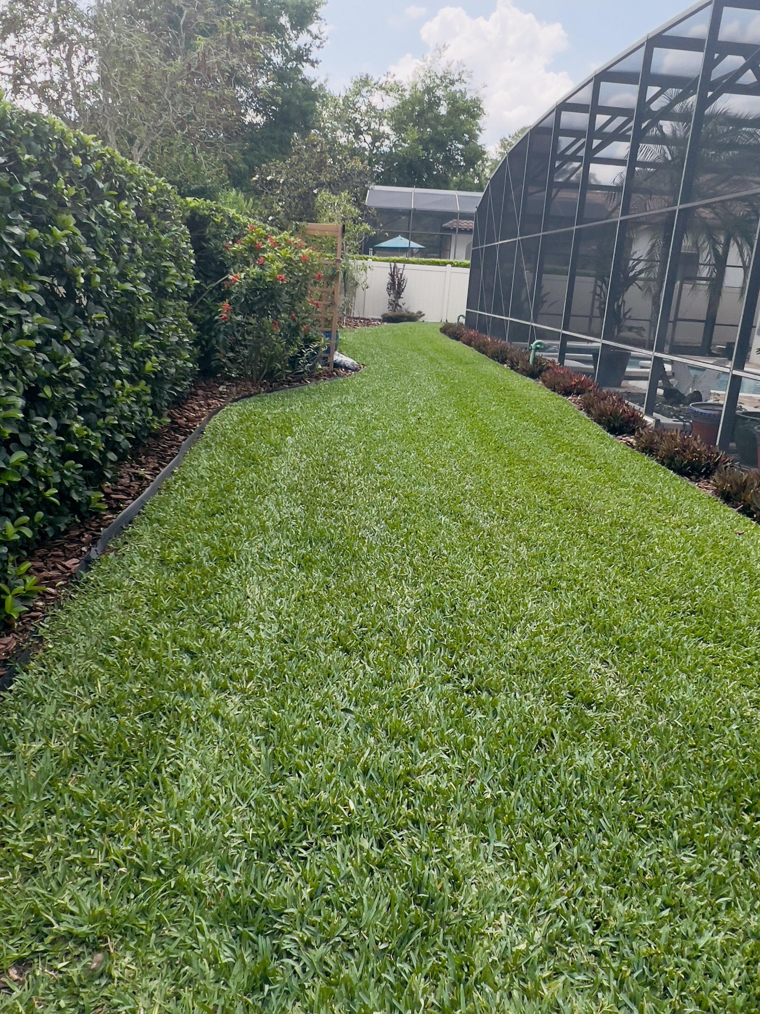 St. Augustine Pro Vista Sod Installed in this Oviedo home's Landscape located in the Stonehurst community in Oviedo . Lawn Irrigation Services include converting the lawn and landcape being handled by a MPR conversion per each irrigation zone . Lan