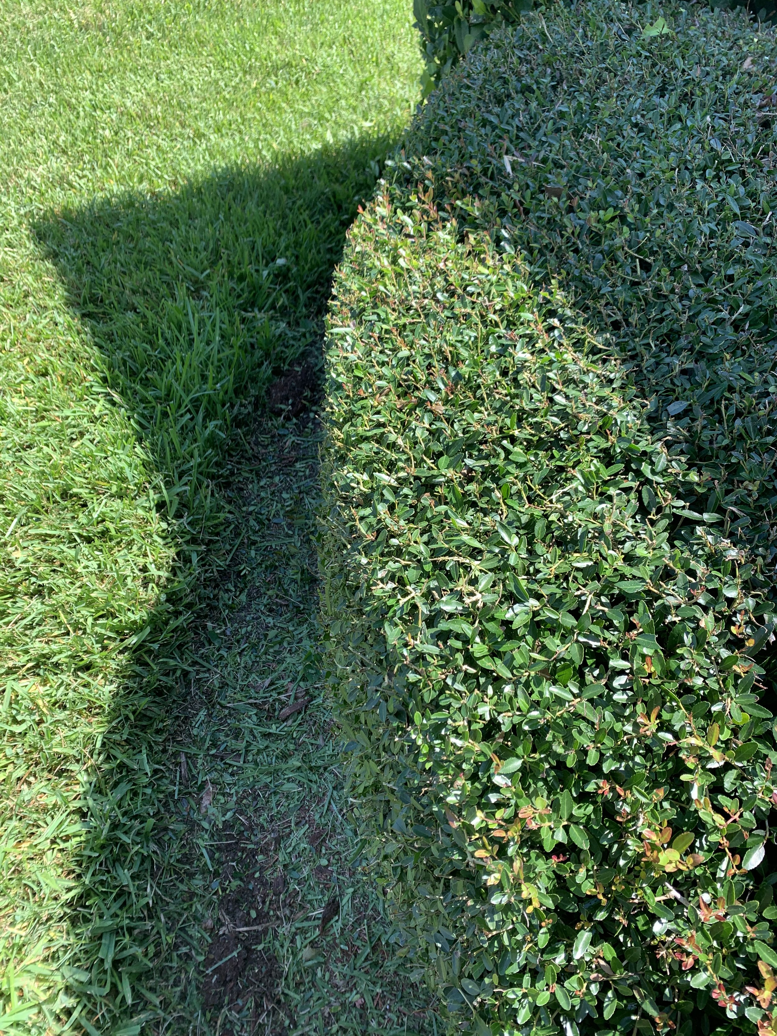 Oviedo Lawn and Landscape Services , Oviedo Sod Installation , Oviedo Irrigation Services , Winter Park Sod Installation Service , Winter Park Lawn and Landscape Services , Winter Park Irrigation Services . Winter Springs Sod Installations , Winter