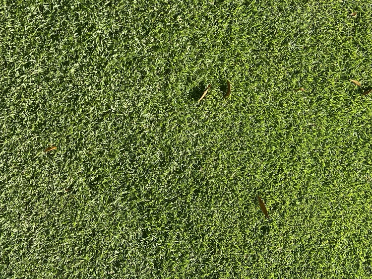 Landscape installation with quality sod and garden plantings