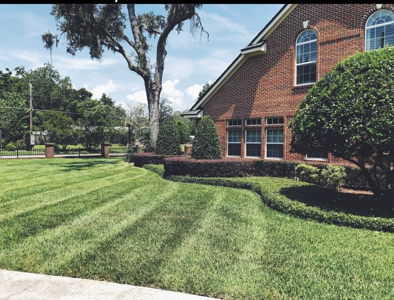 Estate front yard in Winter Park, Florida with freshly cut lawn, tightly trimmed foundation shrubs and a mature shade tree over a brick home