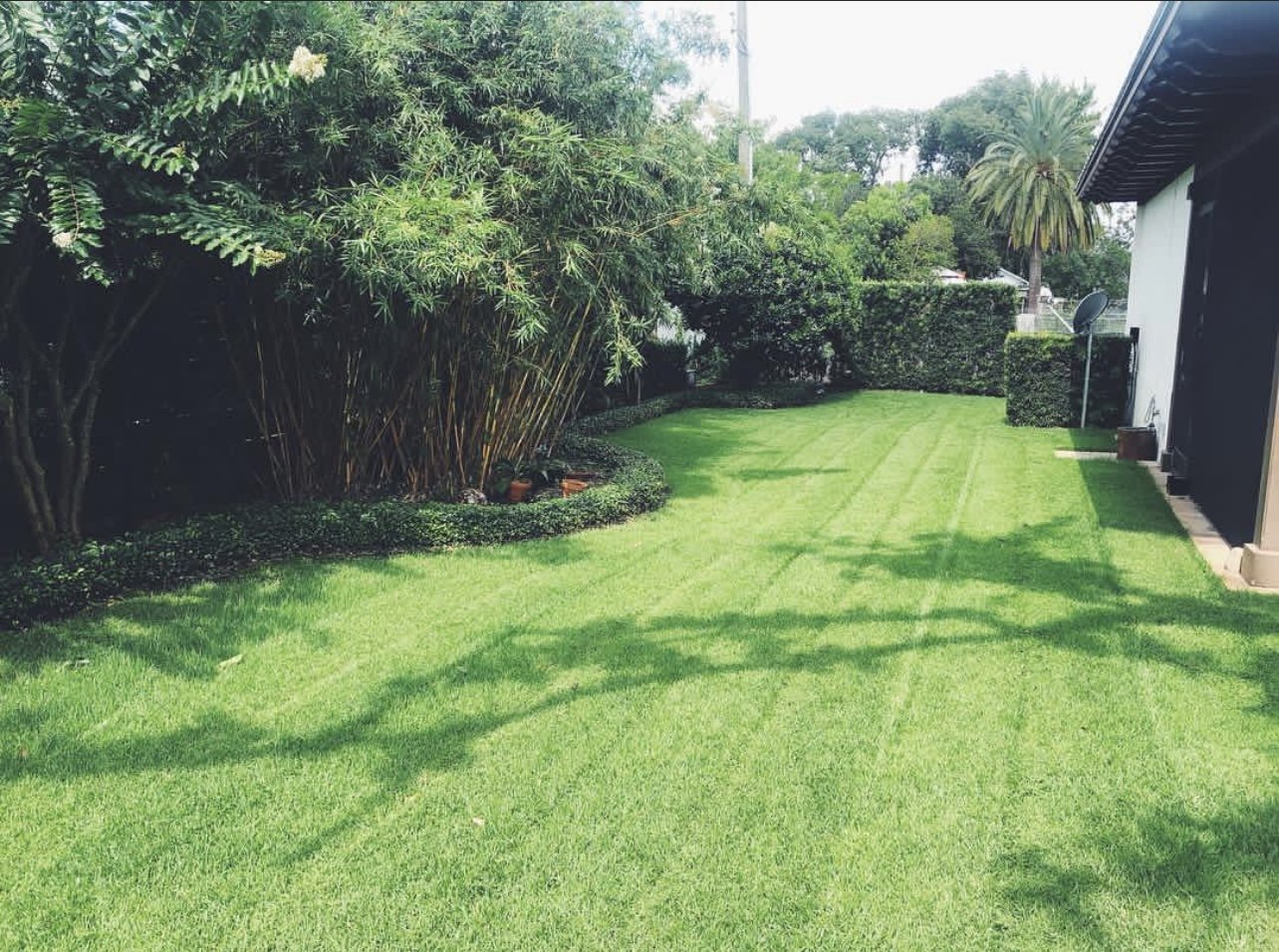 Oviedo Lawn and Landscape Services , Oviedo Sod Installation , Oviedo Irrigation Services , Winter Park Sod Installation Service , Winter Park Lawn and Landscape Services , Winter Park Irrigation Services . Winter Springs Sod Installations , Winter