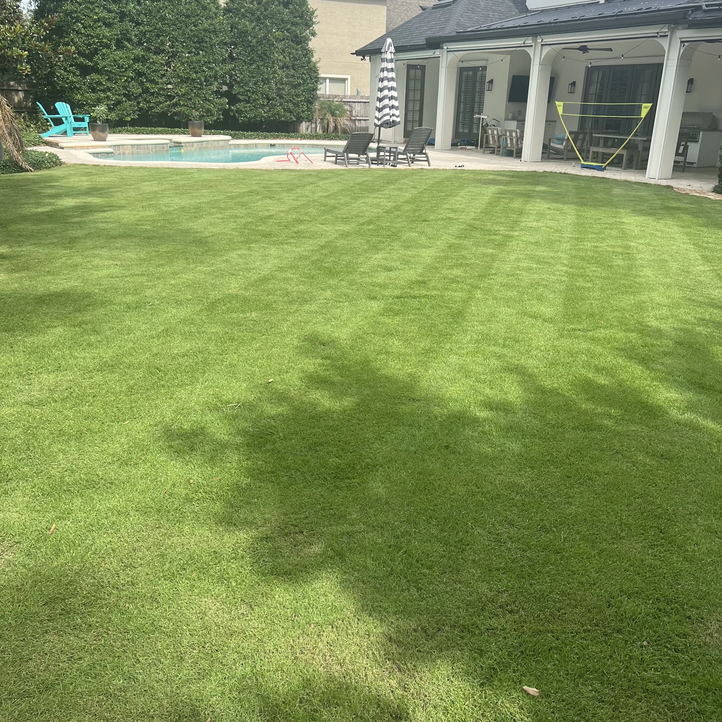 Citrazoy Zoysia Sod Winter Park Fl 32789 | Michael Geist's Yard Works