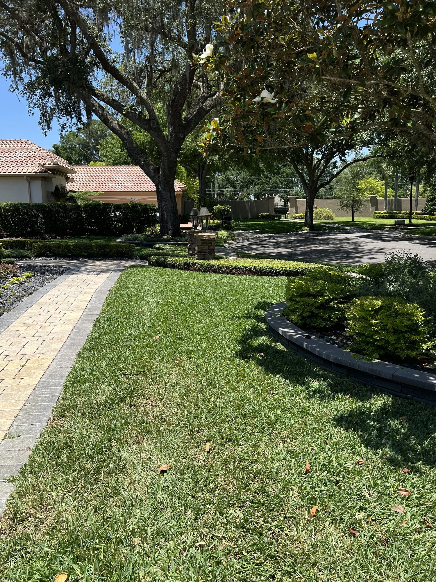 Reel mowed zoysia lawn Winter Park residential 32789