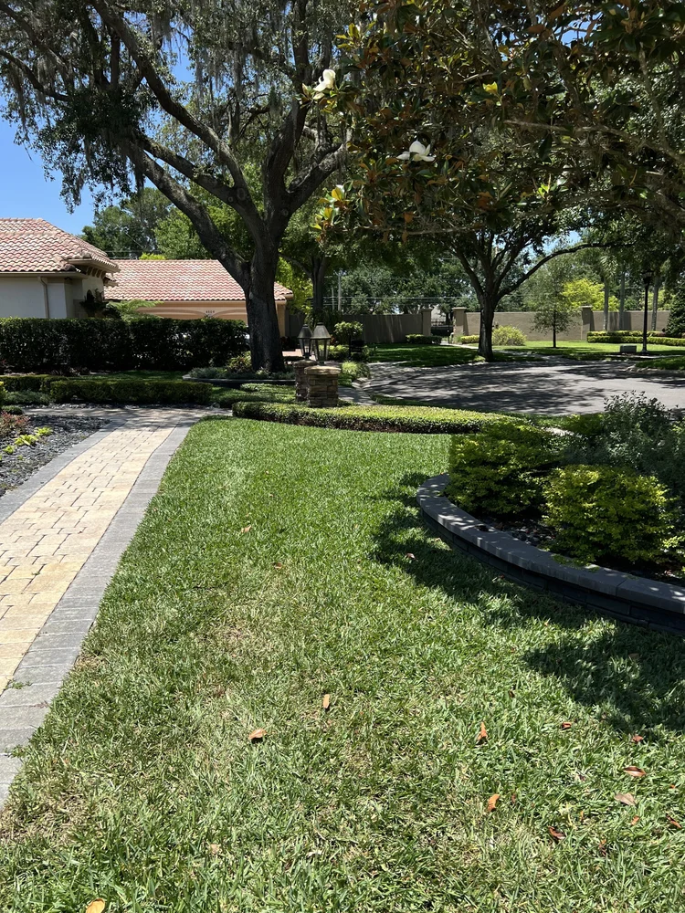 St. Augustine sod installation in Oviedo Florida Stonehurst community 32765