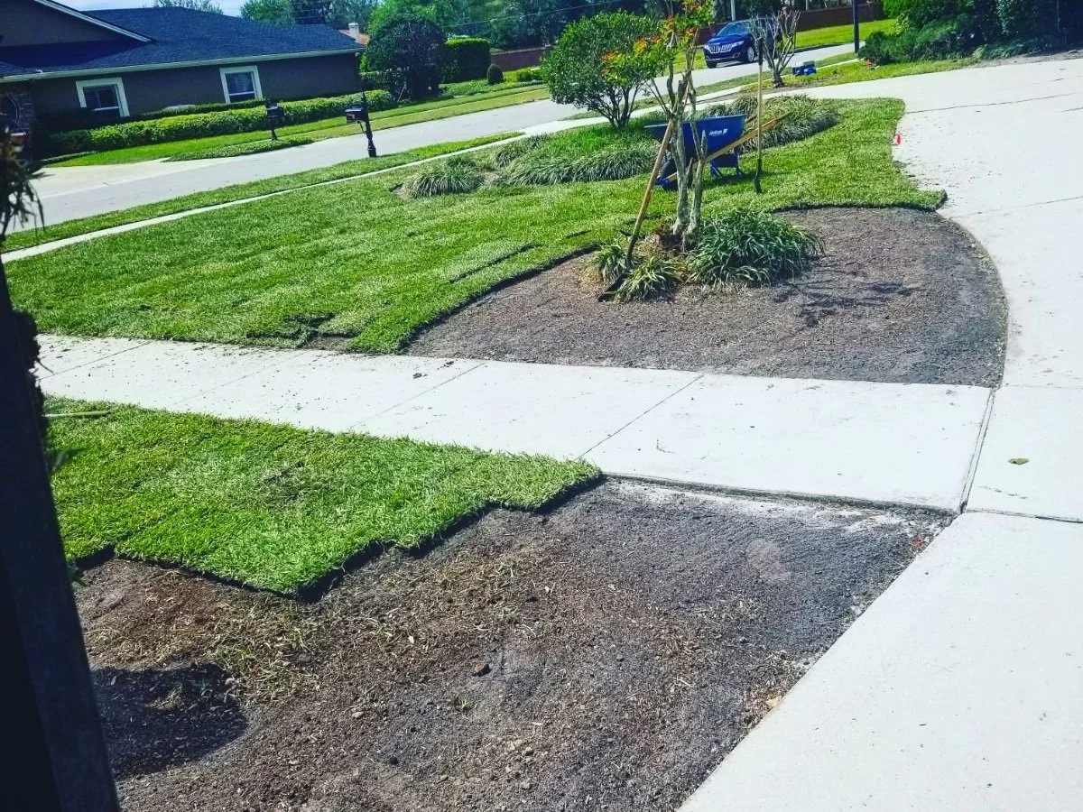 Professional sod installation in Winter Springs Florida by Michael Geist's Yard Works