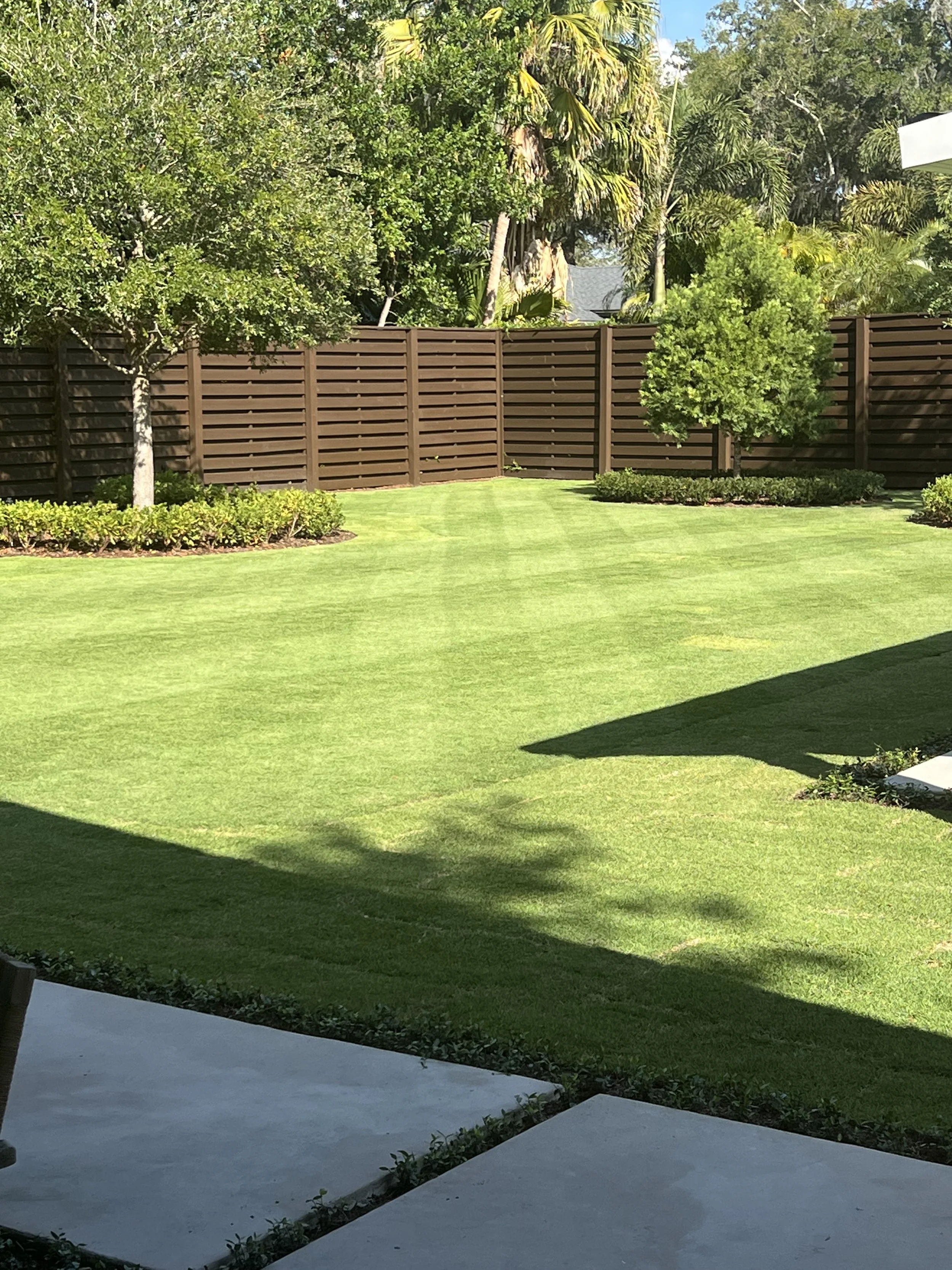 CitraZoy Zoysia sod retaining color.  Picture of Citrazoy  Zoysia SOD from december of 2025 . Beautiful Zoysia Sod - Zone b  - Winter Park / Maitland Florida .   Michael Geist's Yard Works 