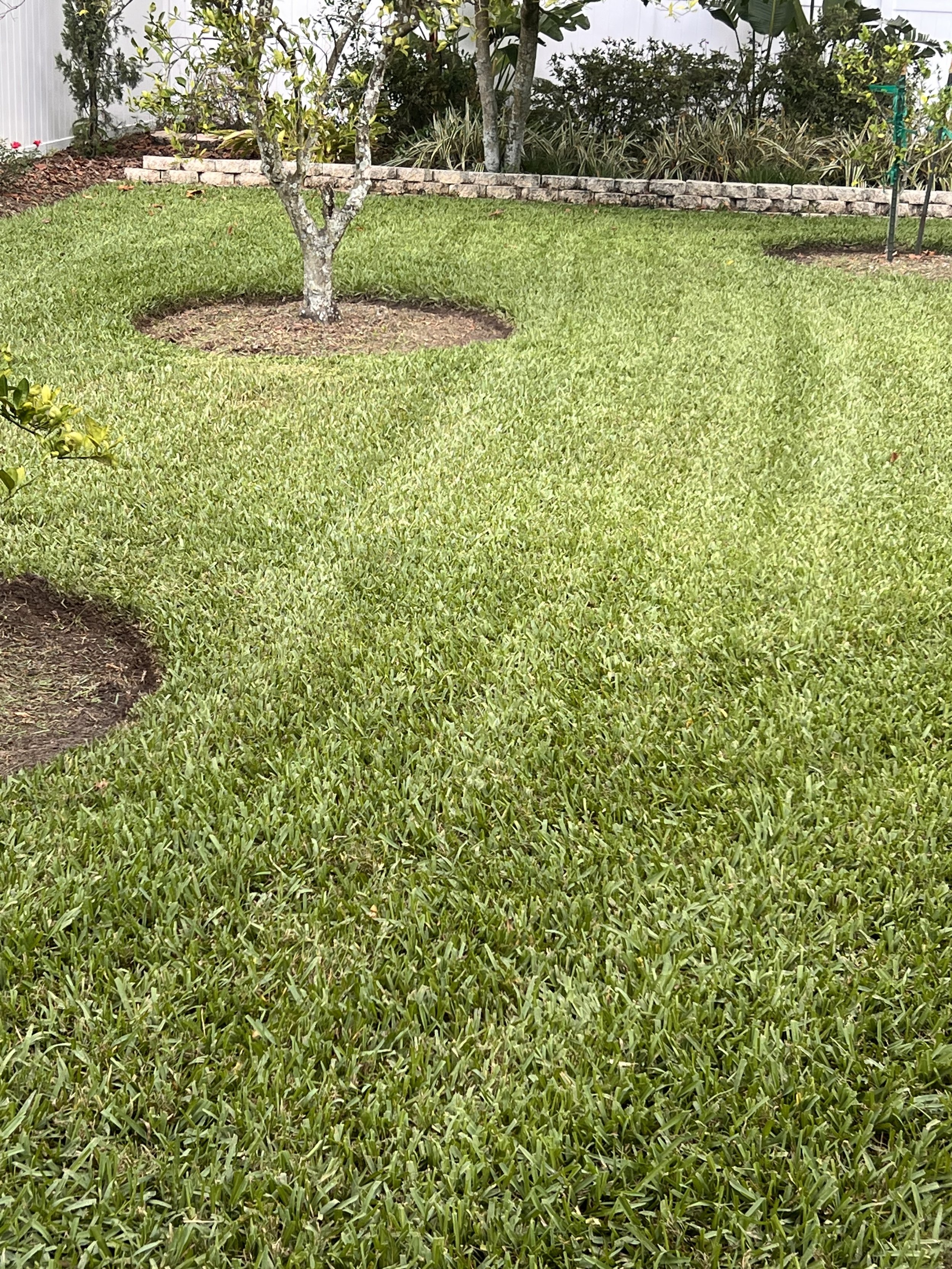 Oviedo Lawn and Landscape Services , Oviedo Sod Installation , Oviedo Irrigation Services , Winter Park Sod Installation Service , Winter Park Lawn and Landscape Services , Winter Park Irrigation Services . Winter Springs Sod Installations , Winter