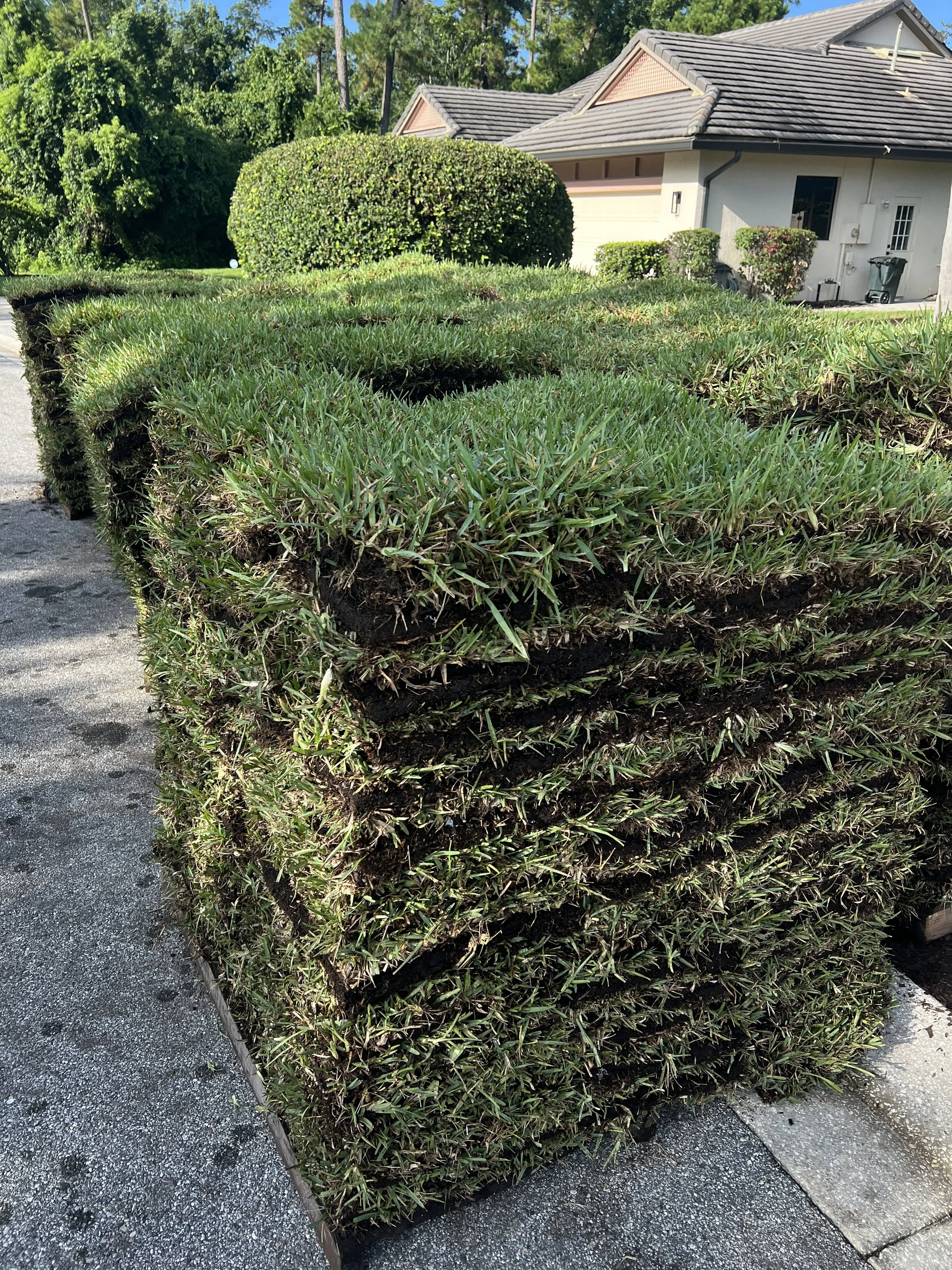 Sod Installation for Oviedo
