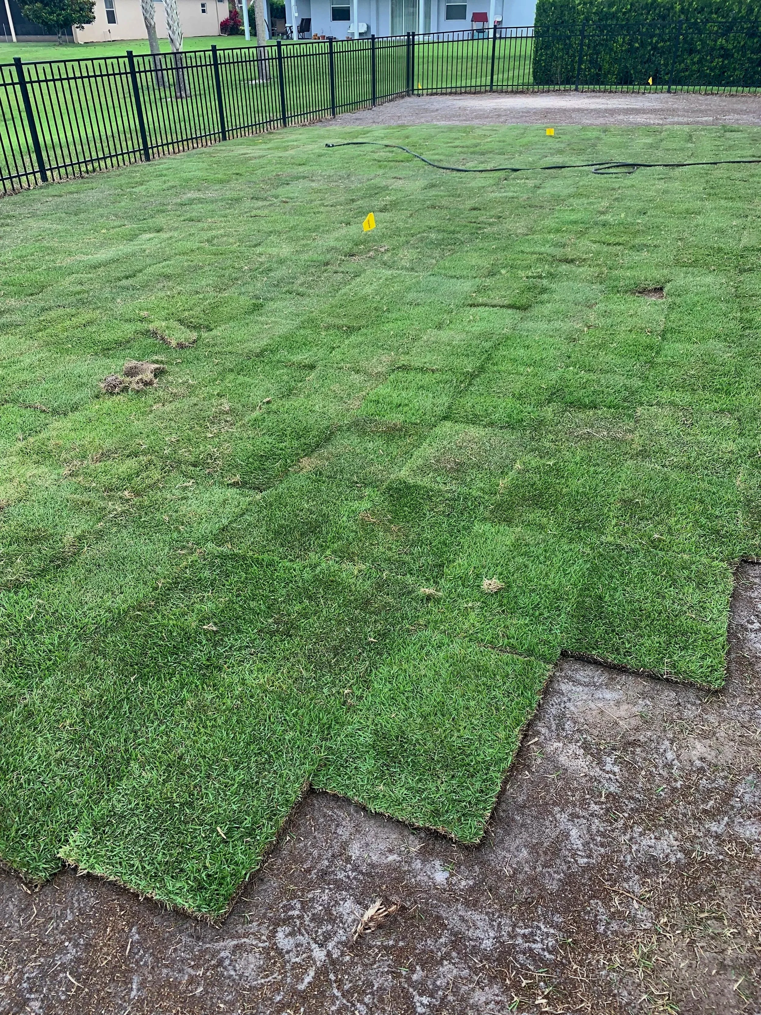 Empire Zoysia Sod Installation Oviedo 32766 32765 | Michael Geist's Yard Works
