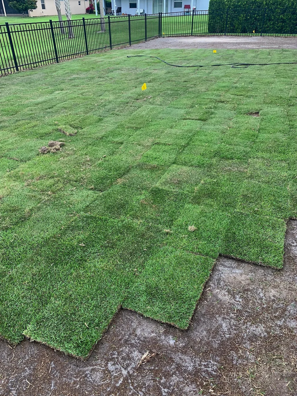 Fresh Empire Zoysia sod installation in the greater Sanford and Orlando area by Michael Geist's Yard Works