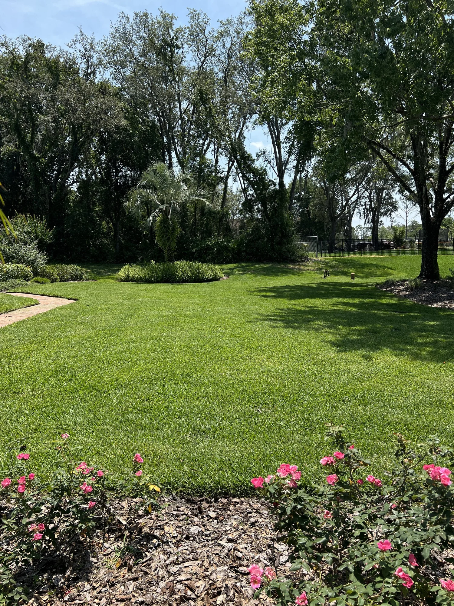 Healthy soil biology zoysia lawn ecosystem Winter Park FL 32789