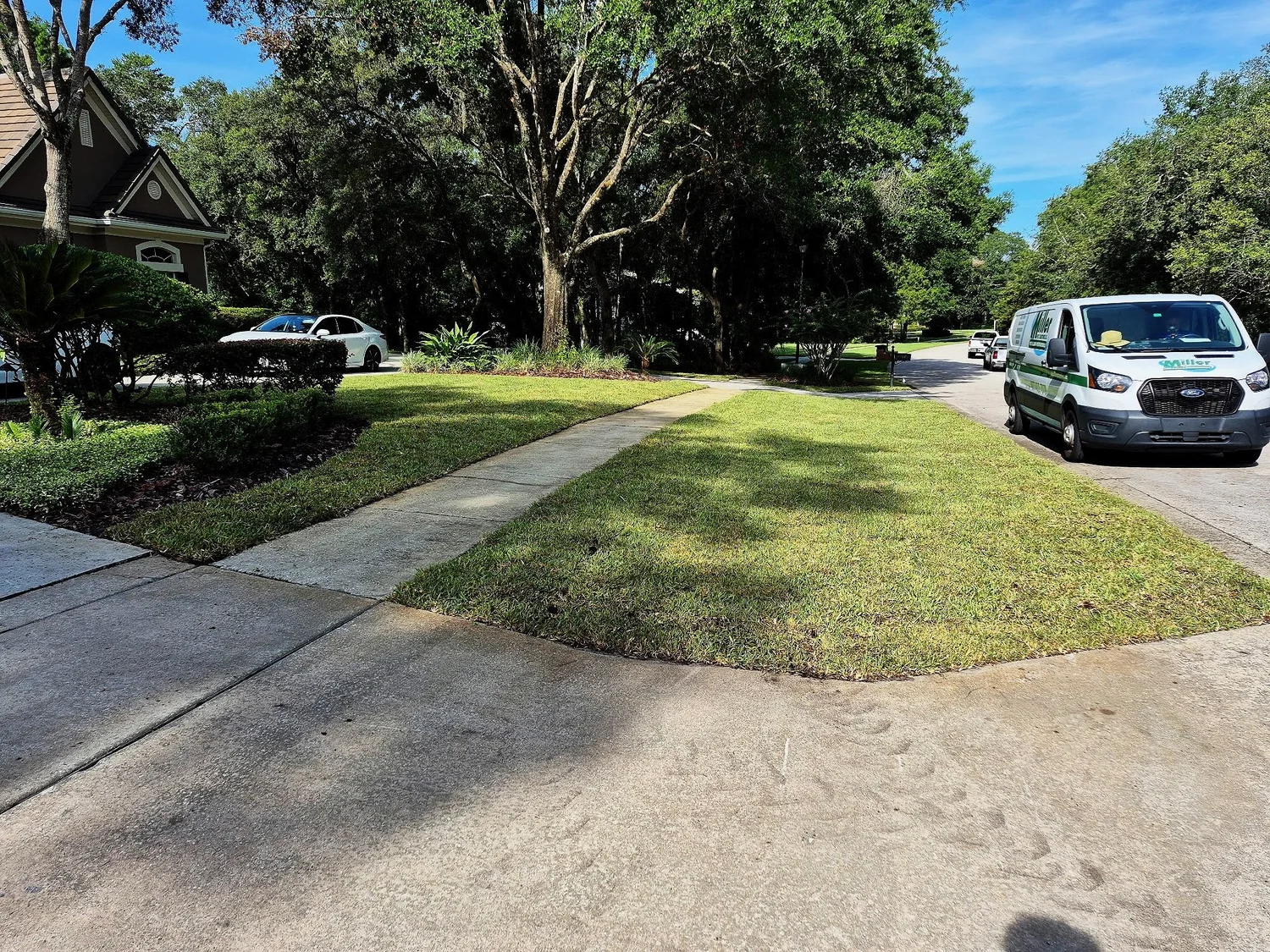 Fresh sod installation by Michael Geist's Yard Works, serving Lake Nona, FL