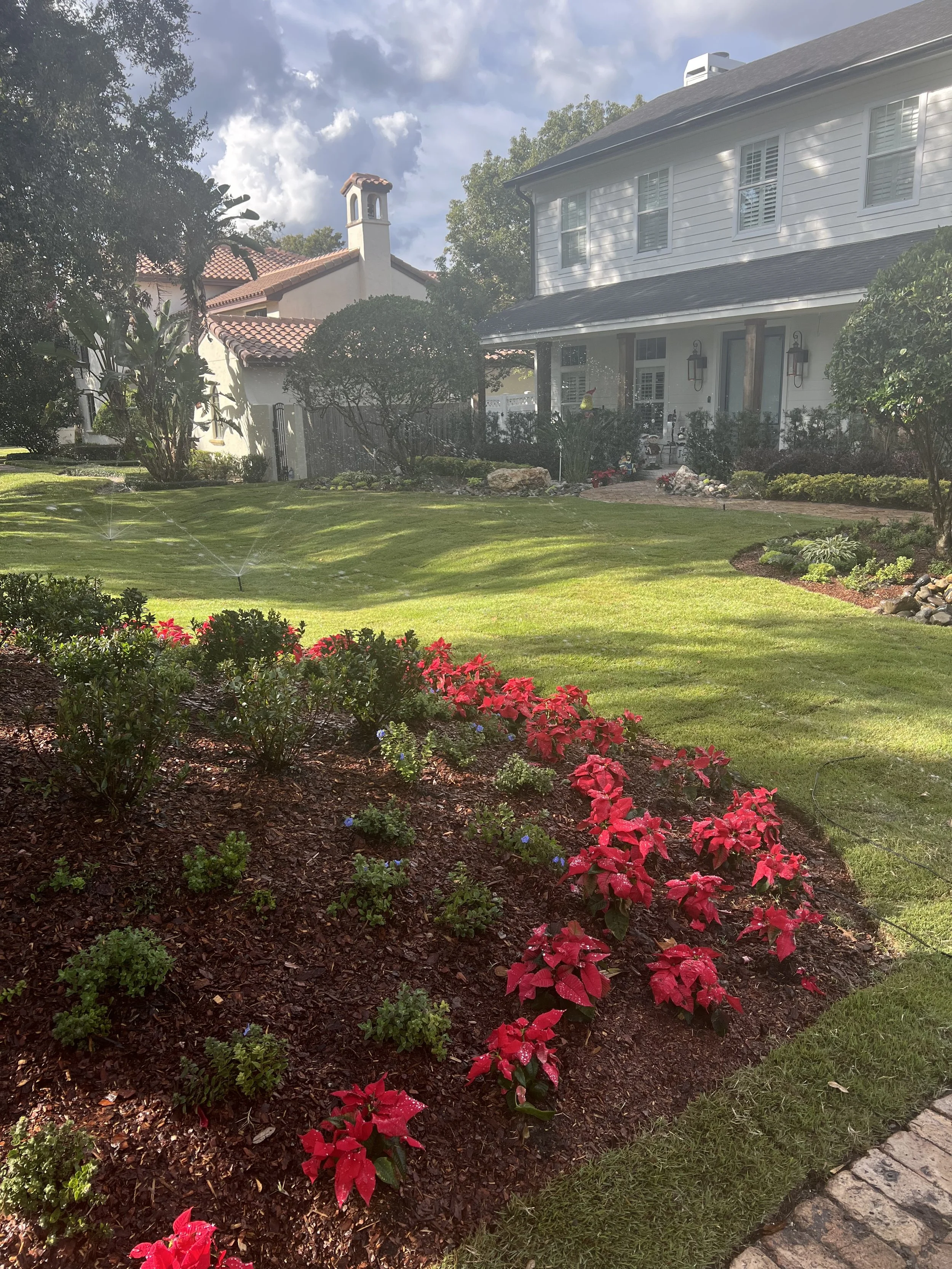 WInter Park Landscape Installation and renovation at 1411 Place Picardy including CitraZoy Zoysia Sod Installation which is watered by a irrigation make over that includes conversion over to Hunter MPR's .   RockBed Landscape Make over . All work com