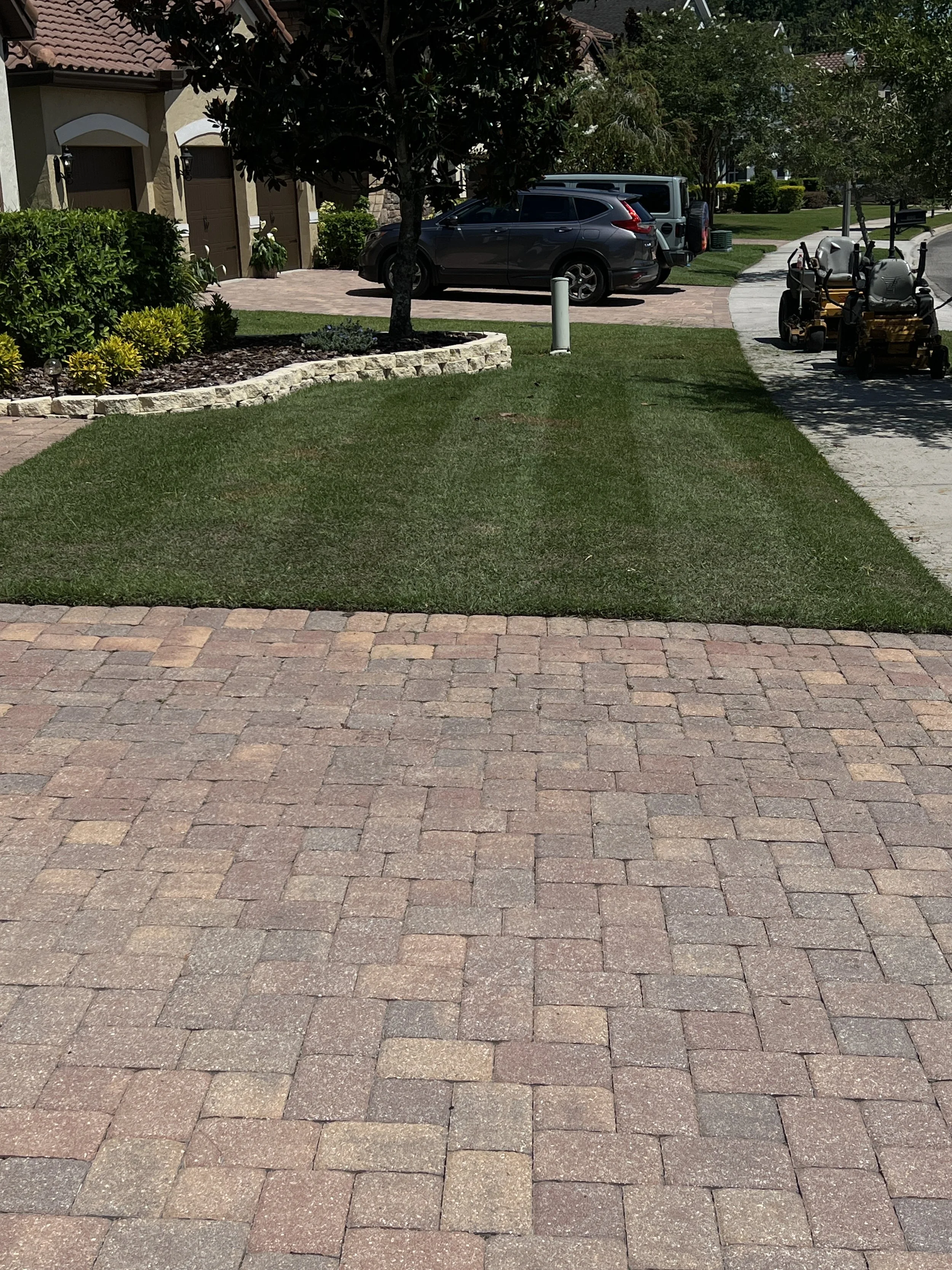Winter Spring Florida Zoysia Sod on Fanning drive which is maintained with Horticultural Services by michael Geist's Yard Works Including Reel Cutting the Zoysia Sod