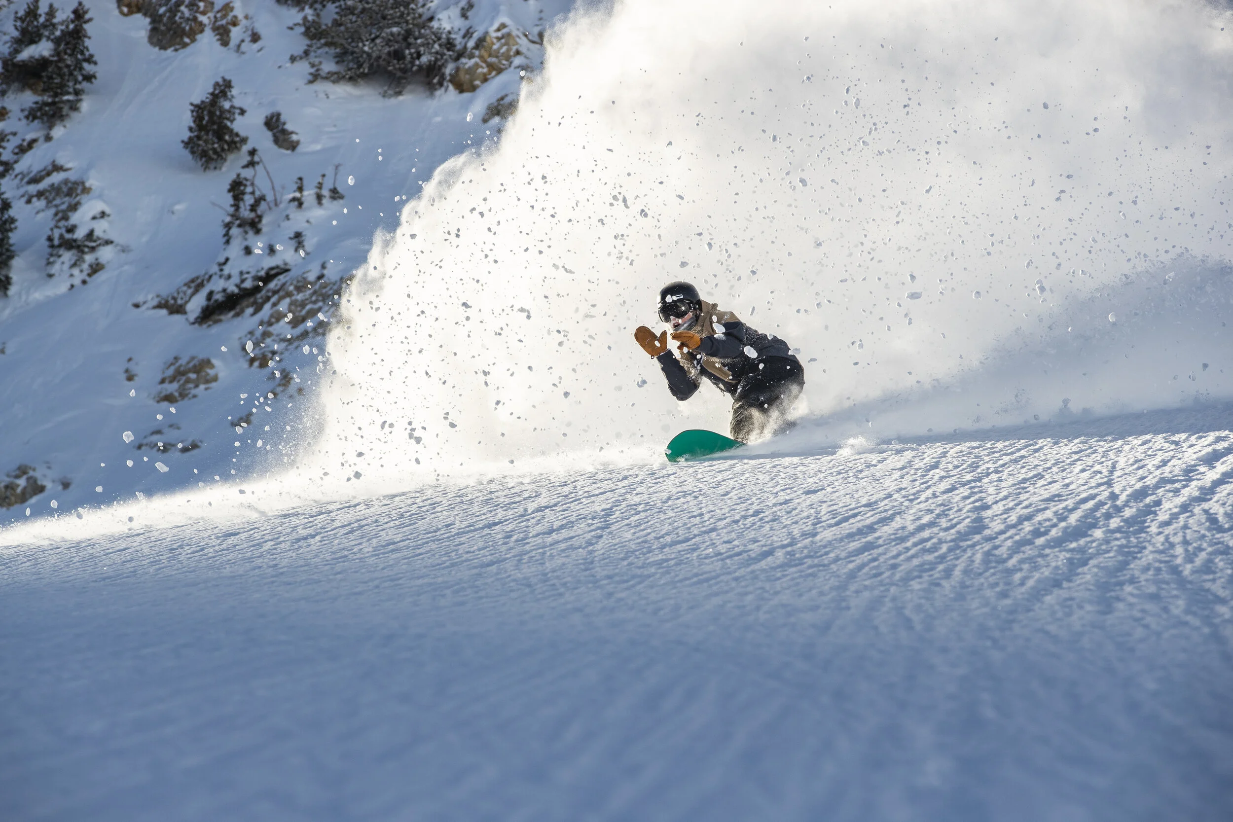 ESALES_Snowbird_1819Preview19.jpg