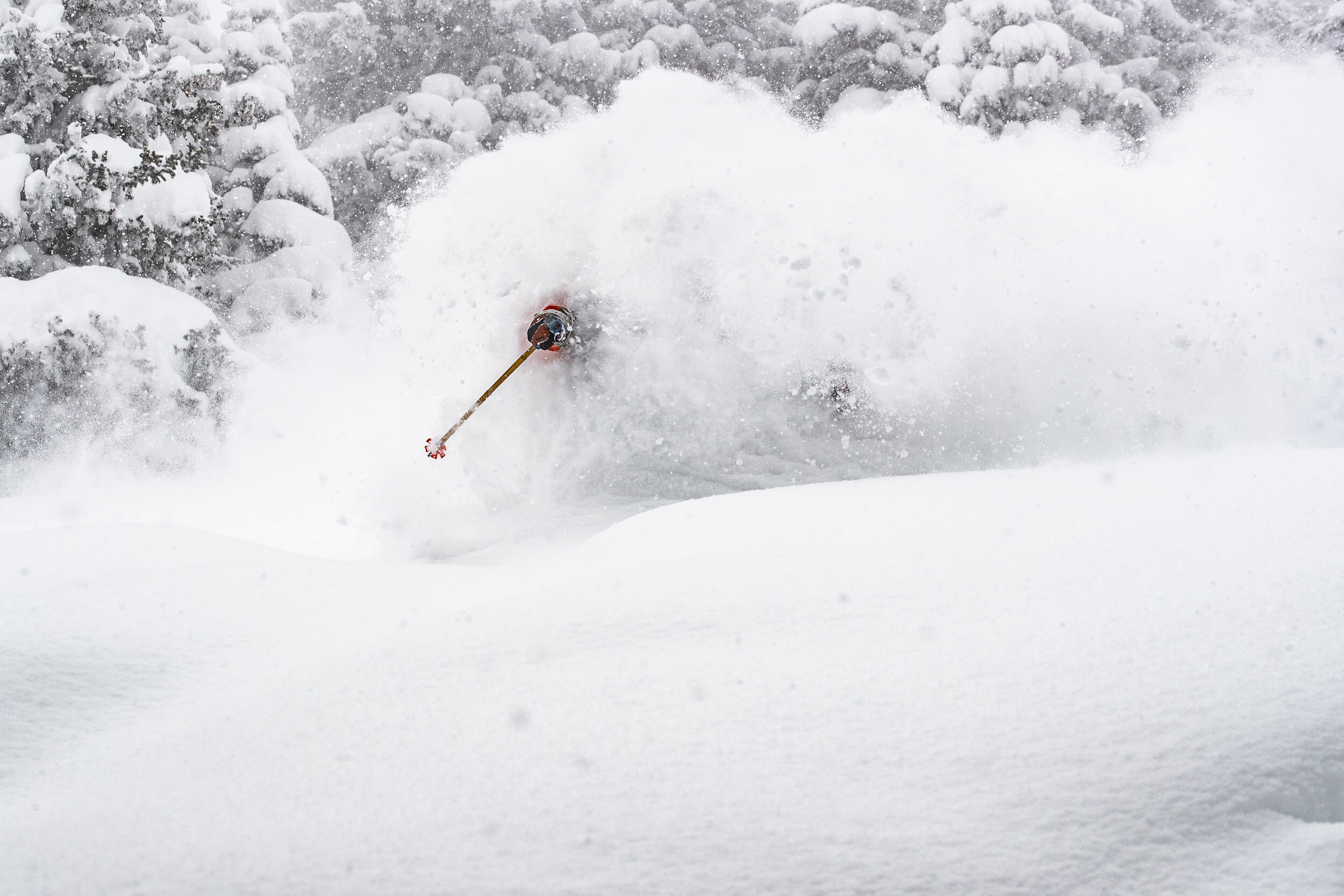 ESALES_Snowbird_1819Preview53.jpg