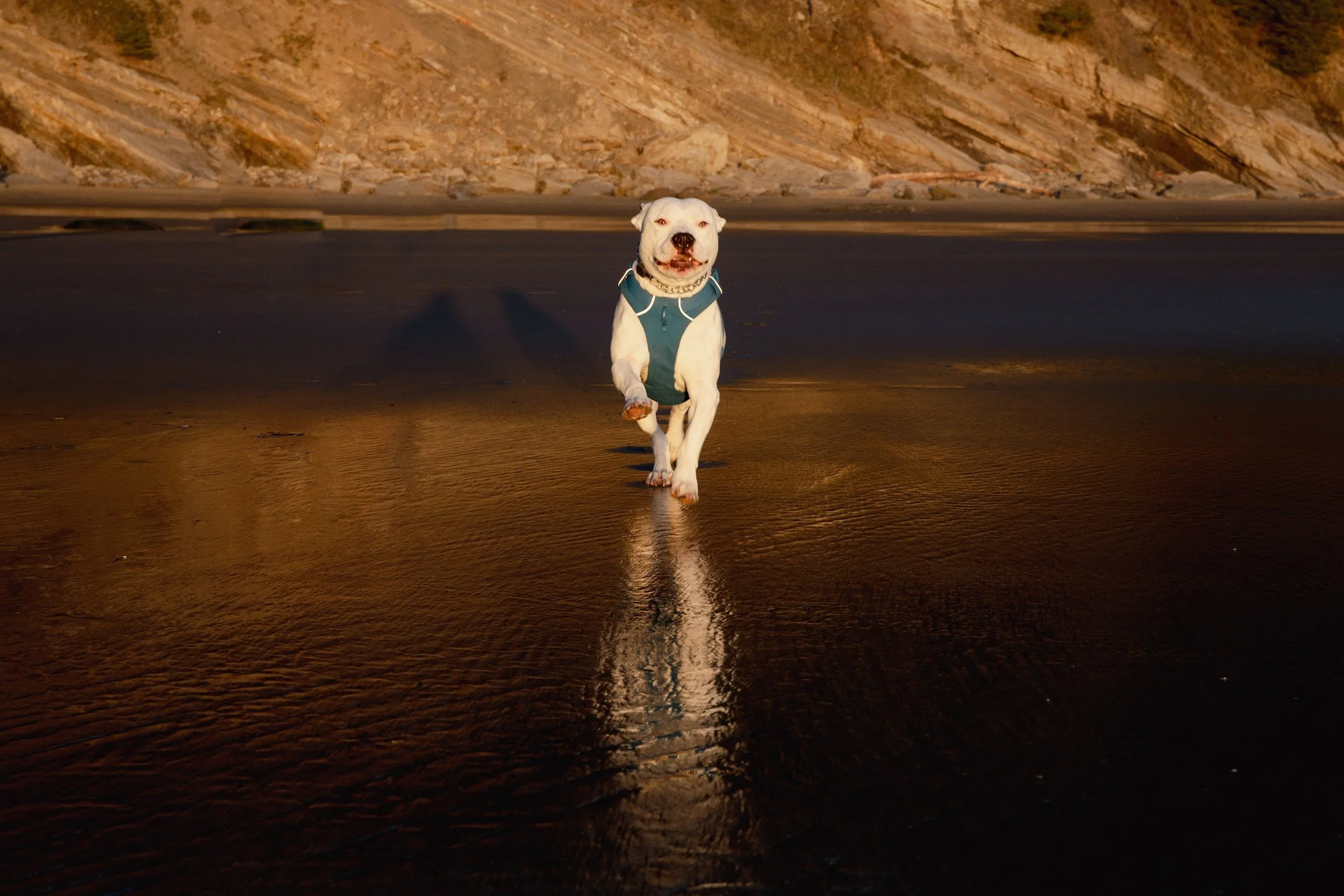 ShortSandBeach_42.jpg