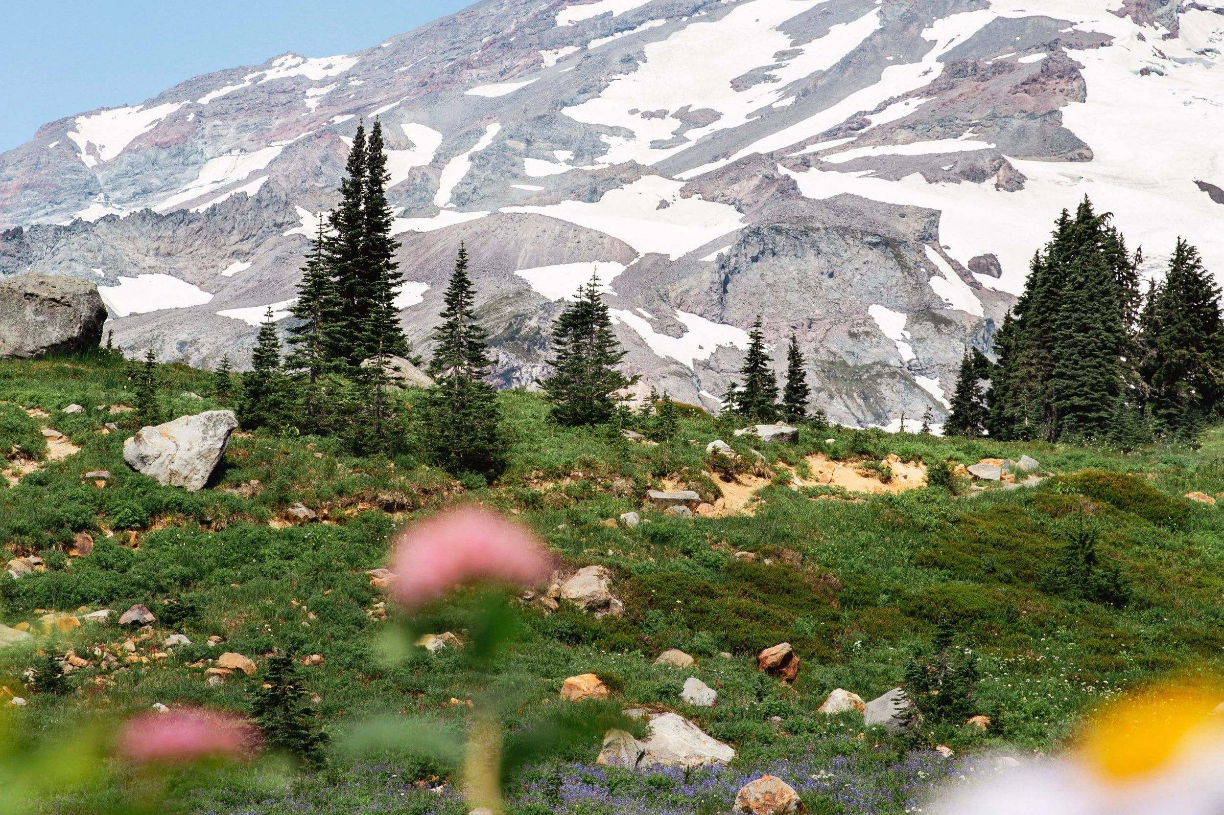 Mt. Rainier
