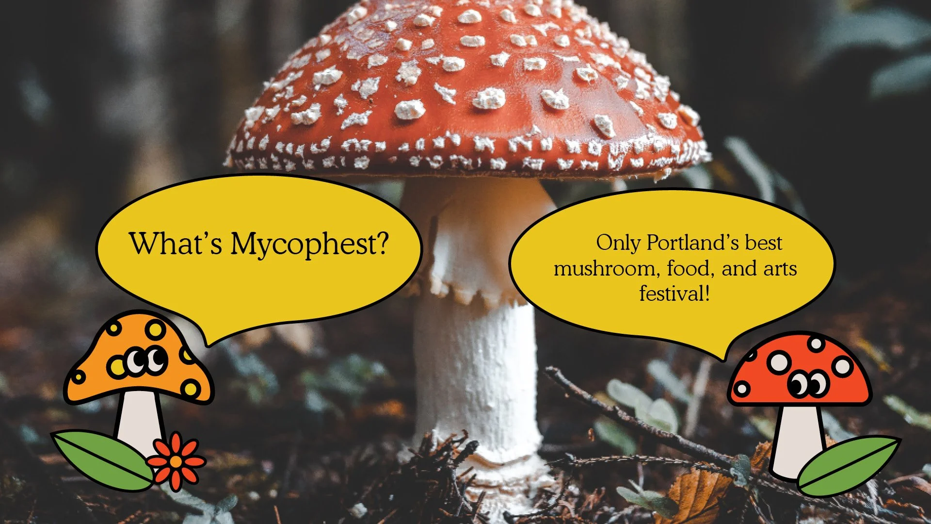 Mycophest_Updated_20262.jpg