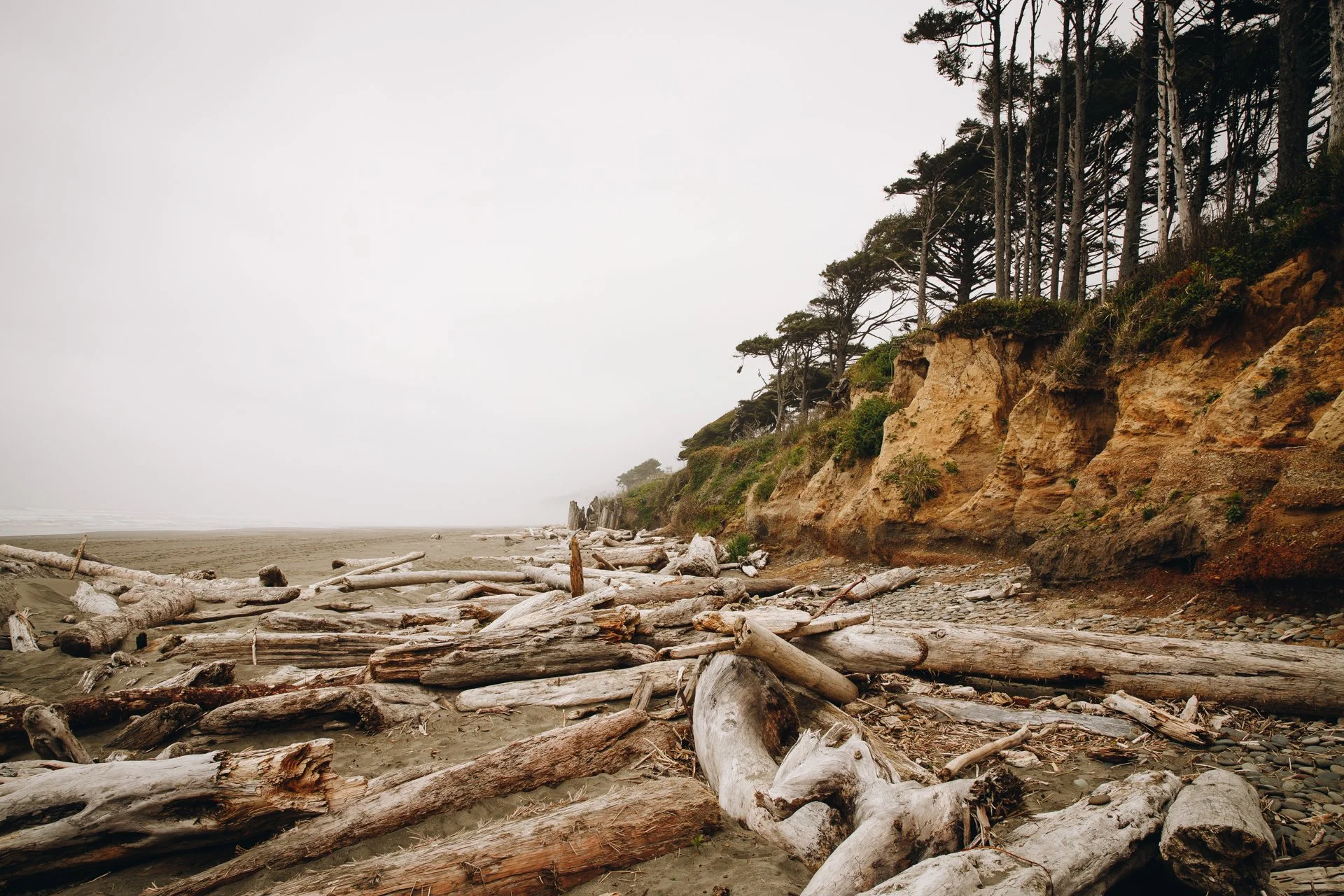 OlympicNPS-18.jpg