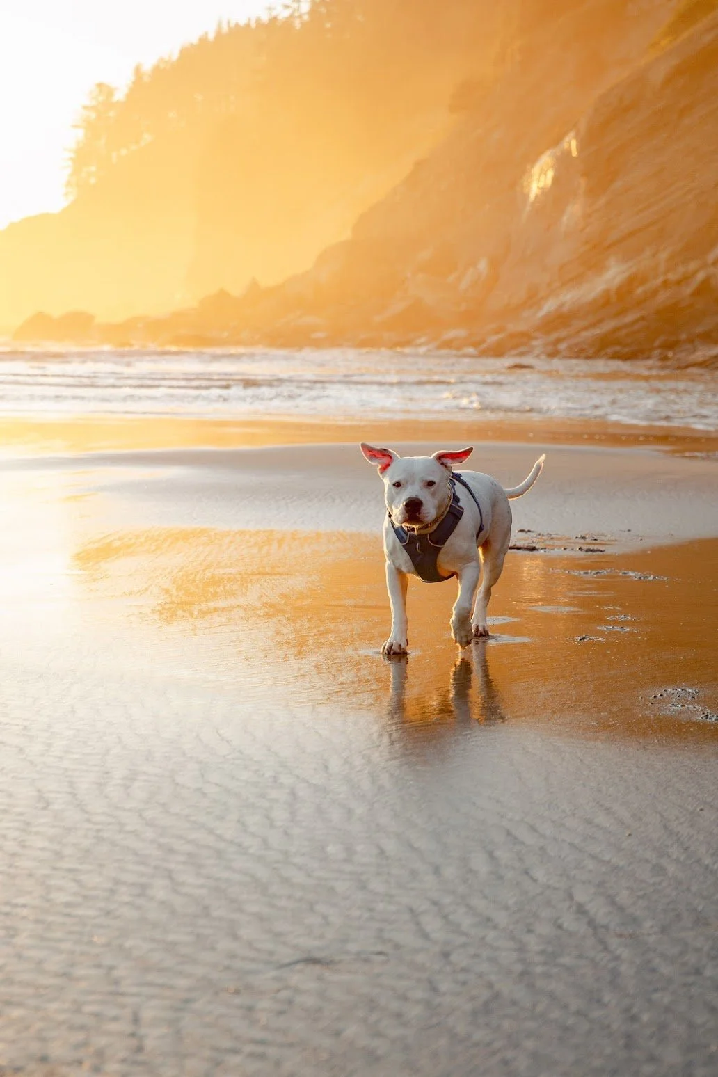 ShortSandBeach_63.jpg