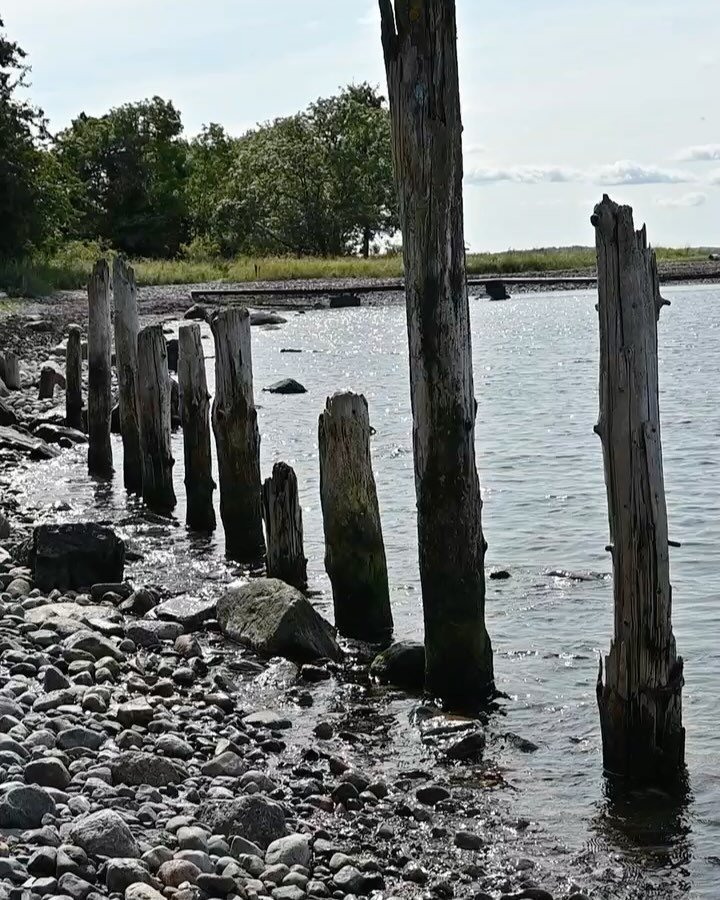 Dag 46; &laquo;Et rom uten d&oslash;r&raquo;
19.august
20 grader
Sted: Gullholmensundet, Jel&oslash;y

Dette stedet kjenner jeg fra tidligere turer, og jeg finner akkurat det samme i dag. Det er rolig, folketomt og ingen tilrettelagt sti mellom rulle