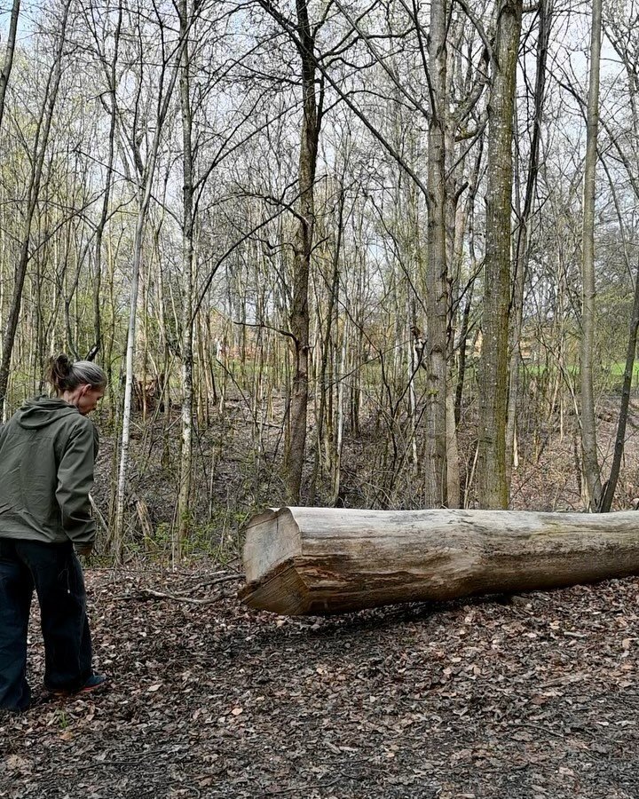 Dag 36; &laquo;Et rom uten d&oslash;r&raquo;
30. april
16 grader
Sted: Engelske park

Her har jeg ogs&aring; v&aelig;rt f&oslash;r. B&aring;de p&aring; vinteren og p&aring; v&aring;ren. I dag er det gr&aring;ere her enn jeg trodde det skulle v&aelig;