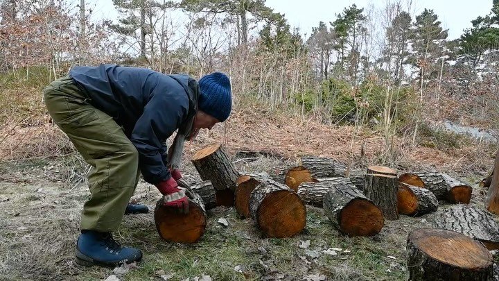 Dag 33; &laquo;Et rom uten d&oslash;r&raquo;
28.mars og 26 &aring;rs bryllupsdag
4 grader
Sted: Just&oslash;ya
 
Vi har felt en svartor ved bekken p&aring; hytta. Den ble st&aring;ende skakt og virket utrygg for g&aring;ende p&aring; stien som leder 