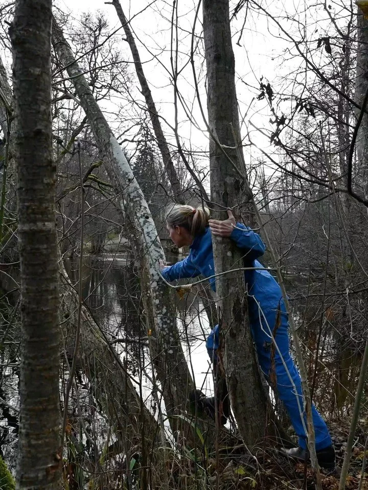Dag 71; &laquo;Et rom uten d&oslash;r&raquo;
11. november 2025
10 grader
Sted: Akerselva_Frysja

Verkstedet jeg leier ligger p&aring; Frysja og hit sykler jeg til og fra Sk&oslash;yen &aring;ret rundt. Det er omtrent 1 mil hver vei og den siste delen