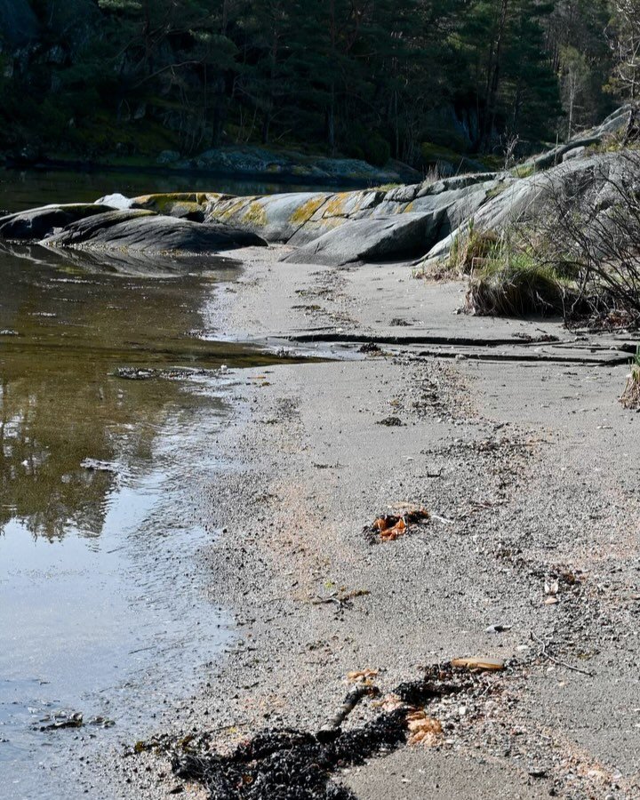 Dag 60; &laquo;Et rom uten d&oslash;r&raquo;
17.april
15 grader
Sted: R&aring;na, Just&oslash;ya

Mange av turene med silke blir aldri vist for andre enn meg selv. En dag skal jeg lage en snutt med alle de underlige stedene som kanskje kan sees p&ari